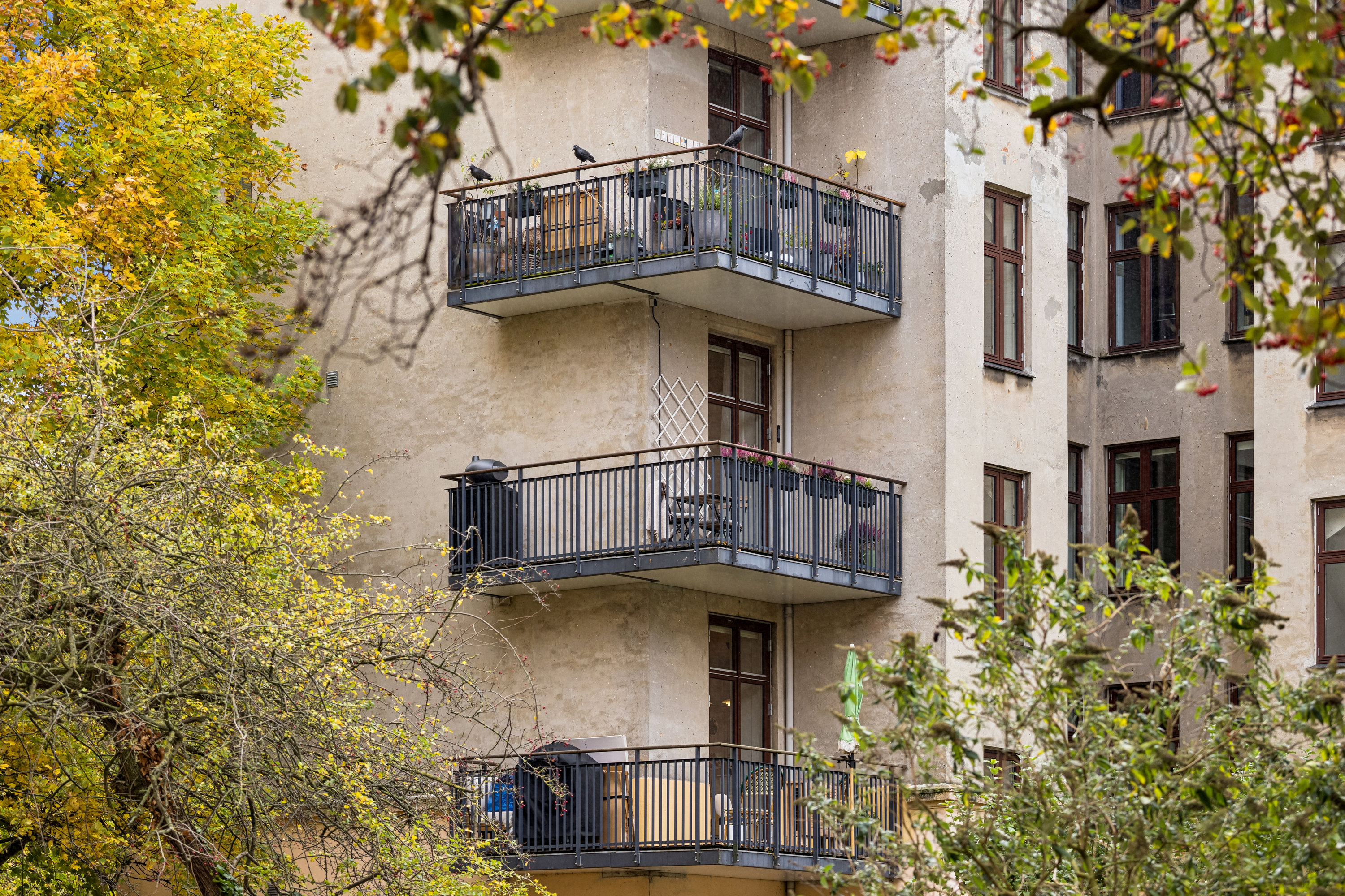 Fremhævet andet billede i fuldskærmstilstand. Billede af Hostrupsvej 13, 2. tv., 1950 Frederiksberg C