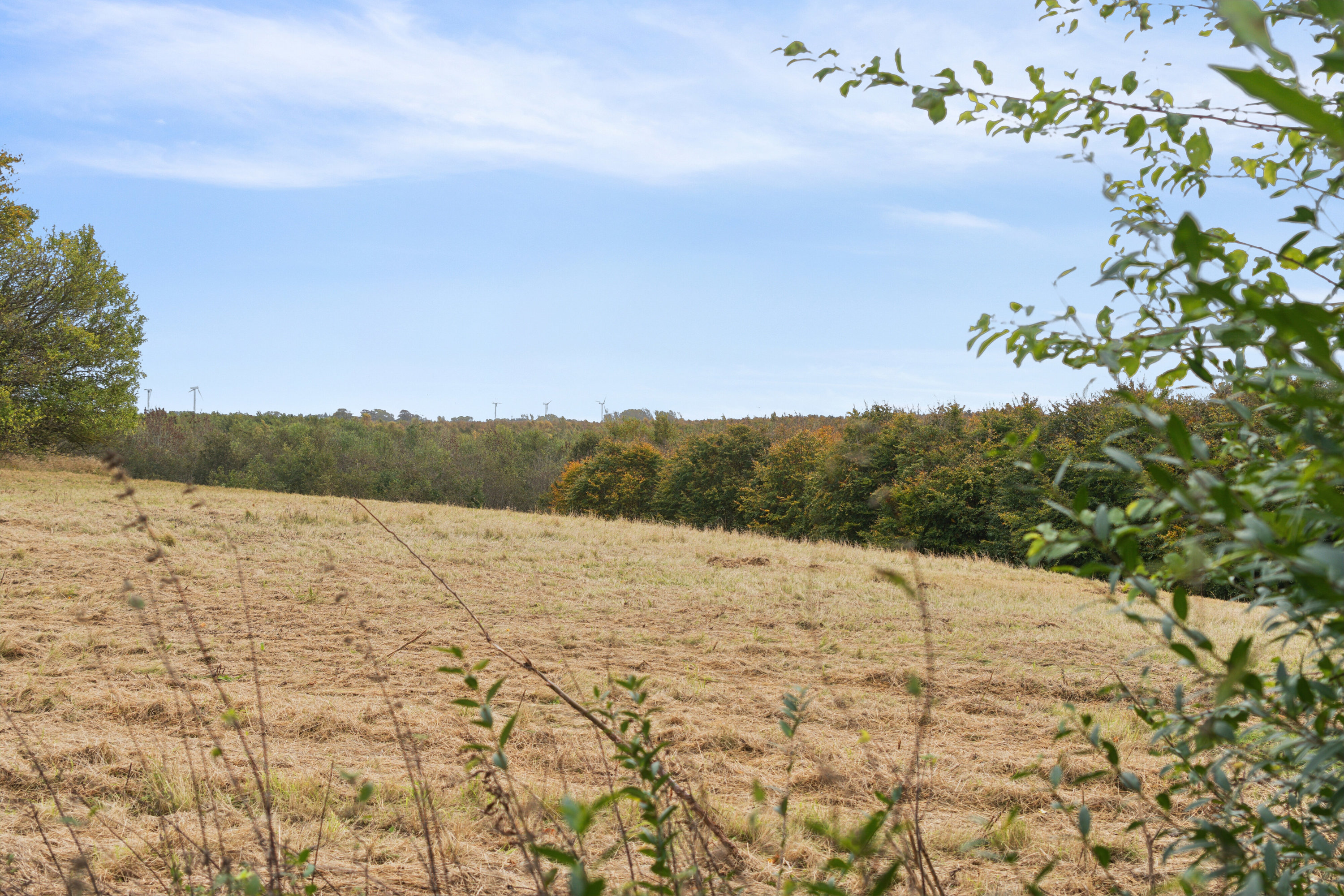 Fremhævet udendørs billede i fuldskærmstilstand. Billede af Slagelse Landevej 120, 4241 Vemmelev