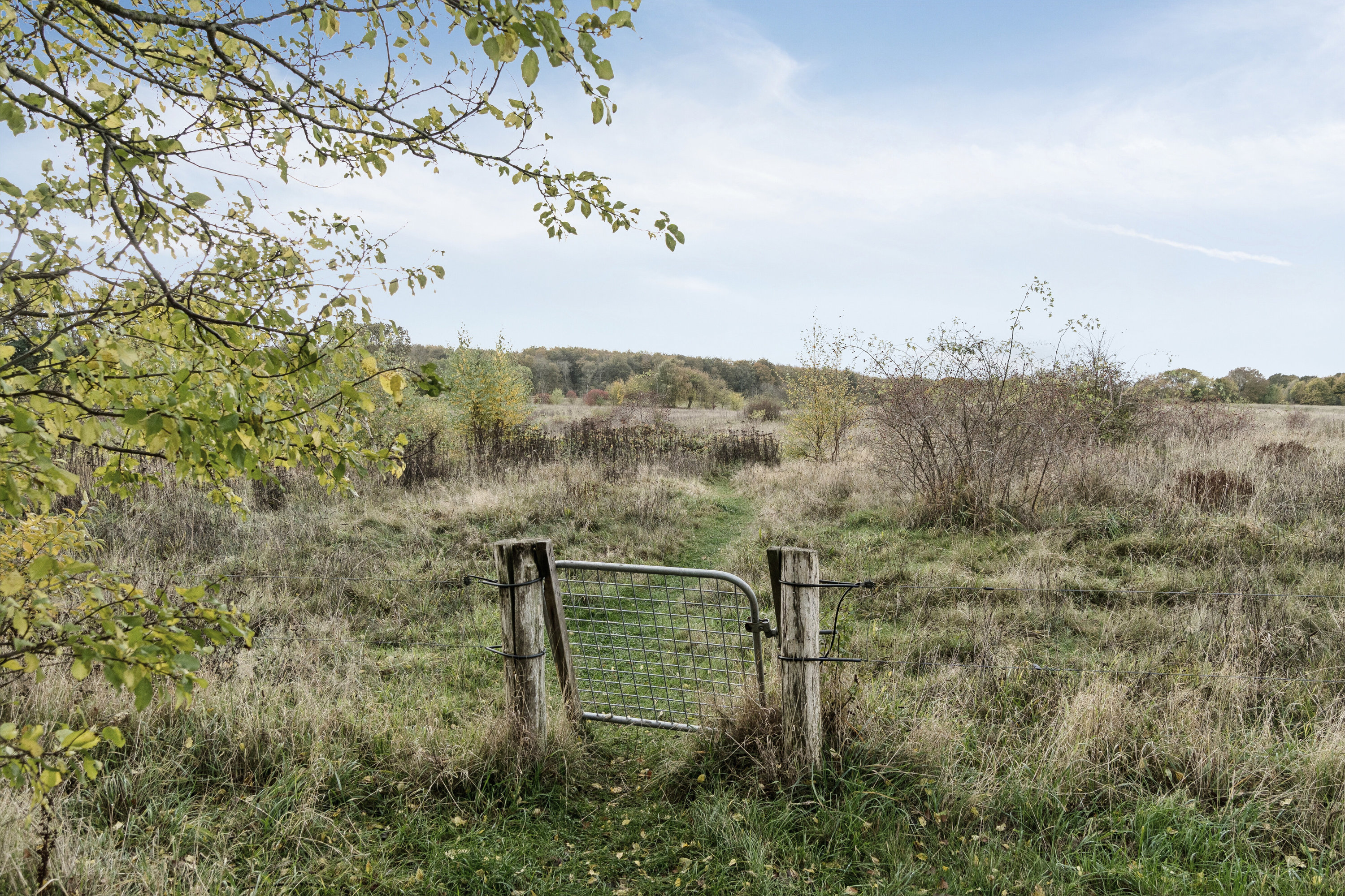 Fremhævet have billede i fuldskærmstilstand. Billede af Æble Alle 41, Strandhusene, 4500 Nykøbing Sj