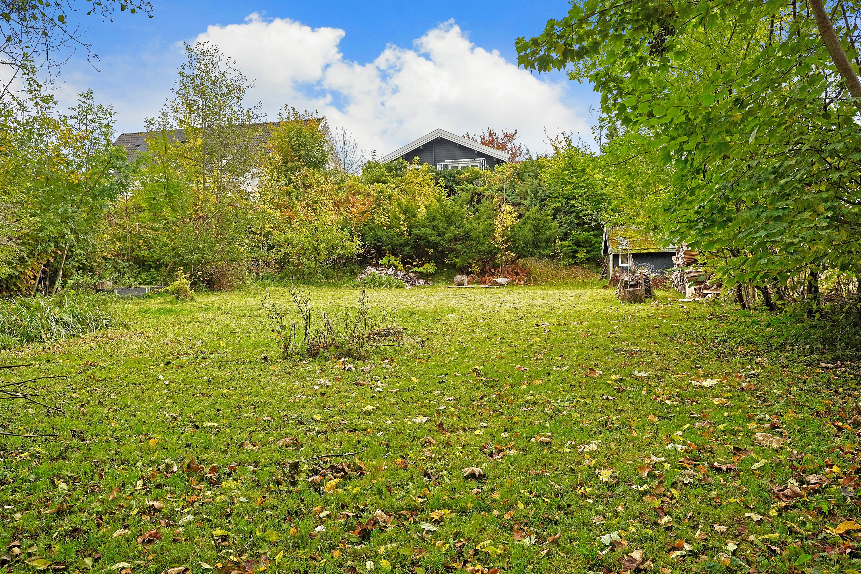 Miniaturebillede 2: have. Billede af Løvvænget 37, 3100 Hornbæk