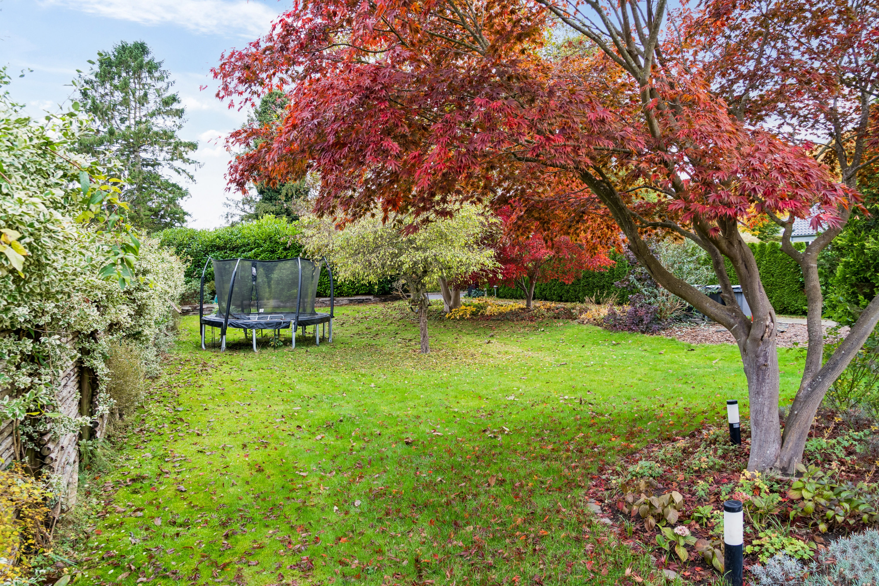 Fremhævet have billede i fuldskærmstilstand. Billede af Rolighedsvej 13A, Hareskov, 3500 Værløse