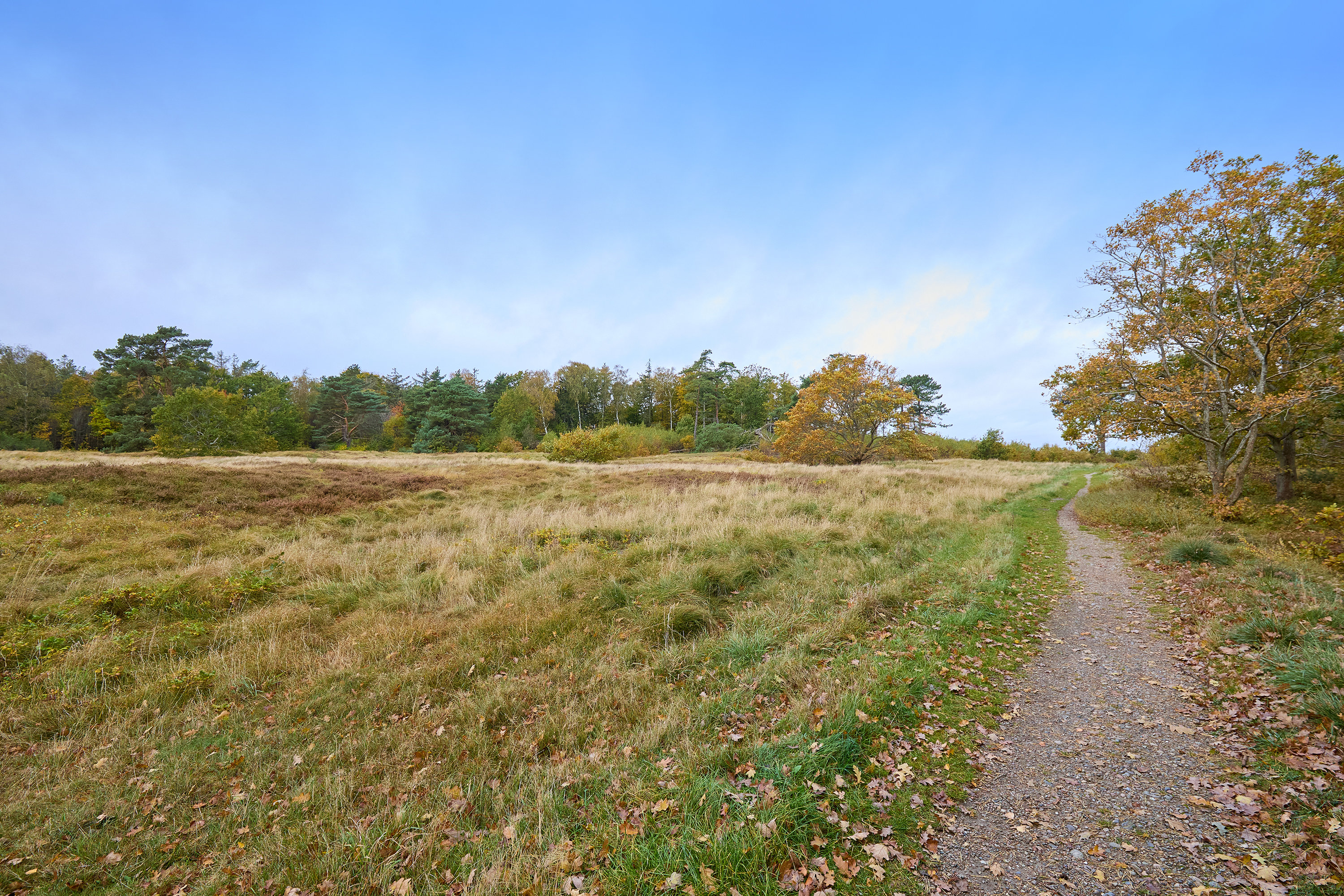 Fremhævet område billede i fuldskærmstilstand. Billede af Udsholt Strandvej 113, 3230 Græsted