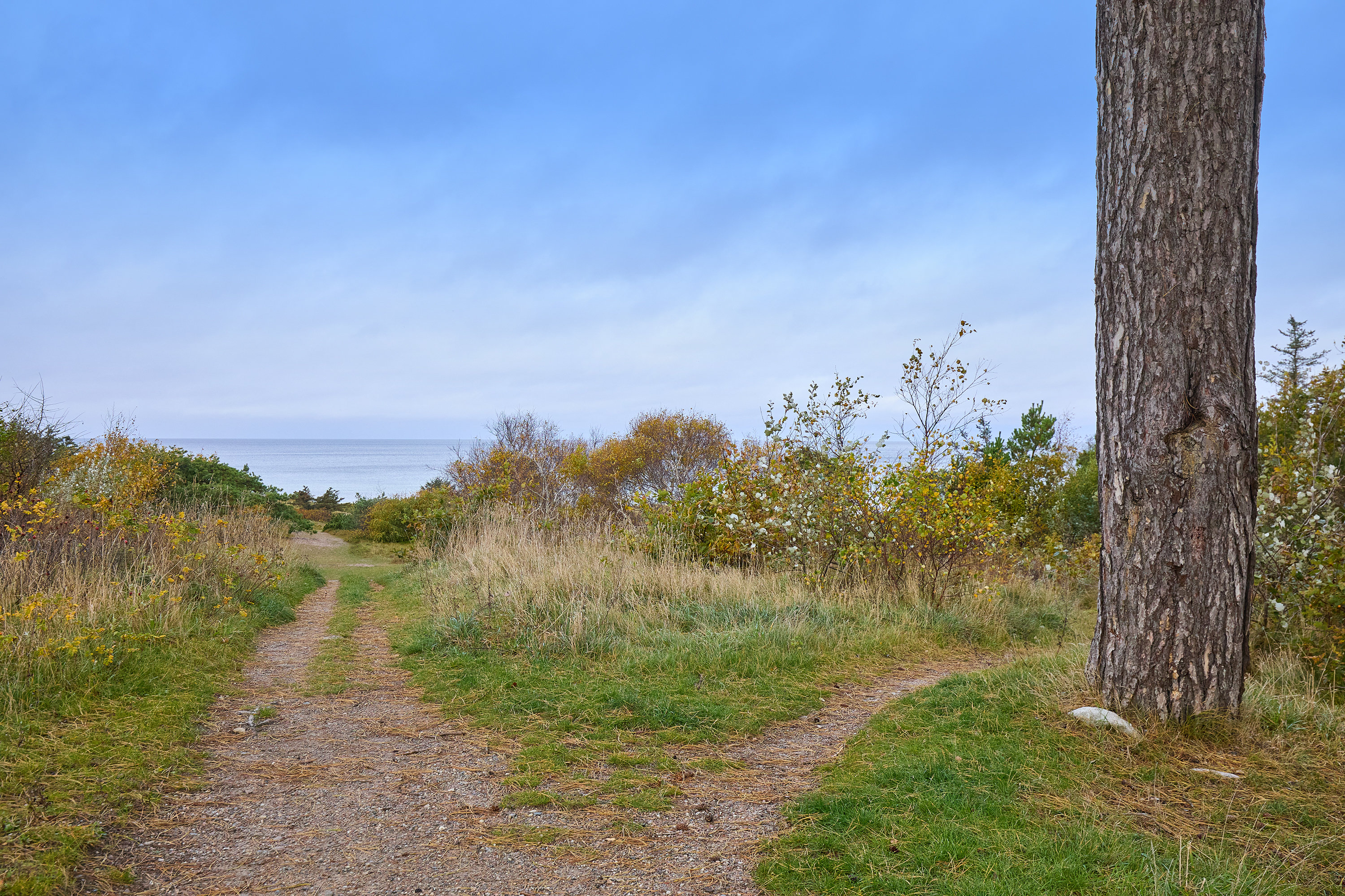 Fremhævet område billede i fuldskærmstilstand. Billede af Udsholt Strandvej 113, 3230 Græsted