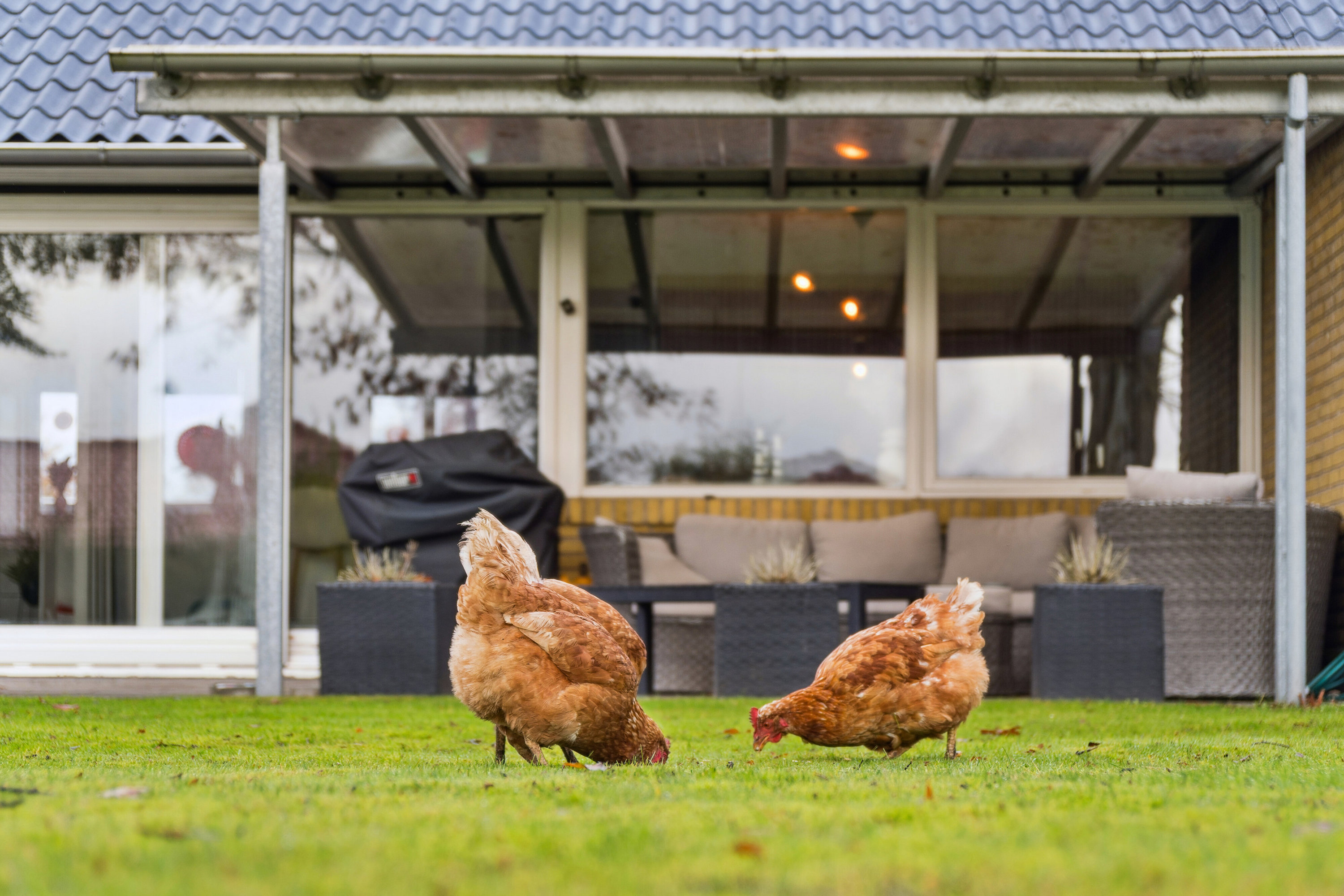 Fremhævet set fra haven billede i fuldskærmstilstand. Billede af H C Andersens Vej 120, 7430 Ikast