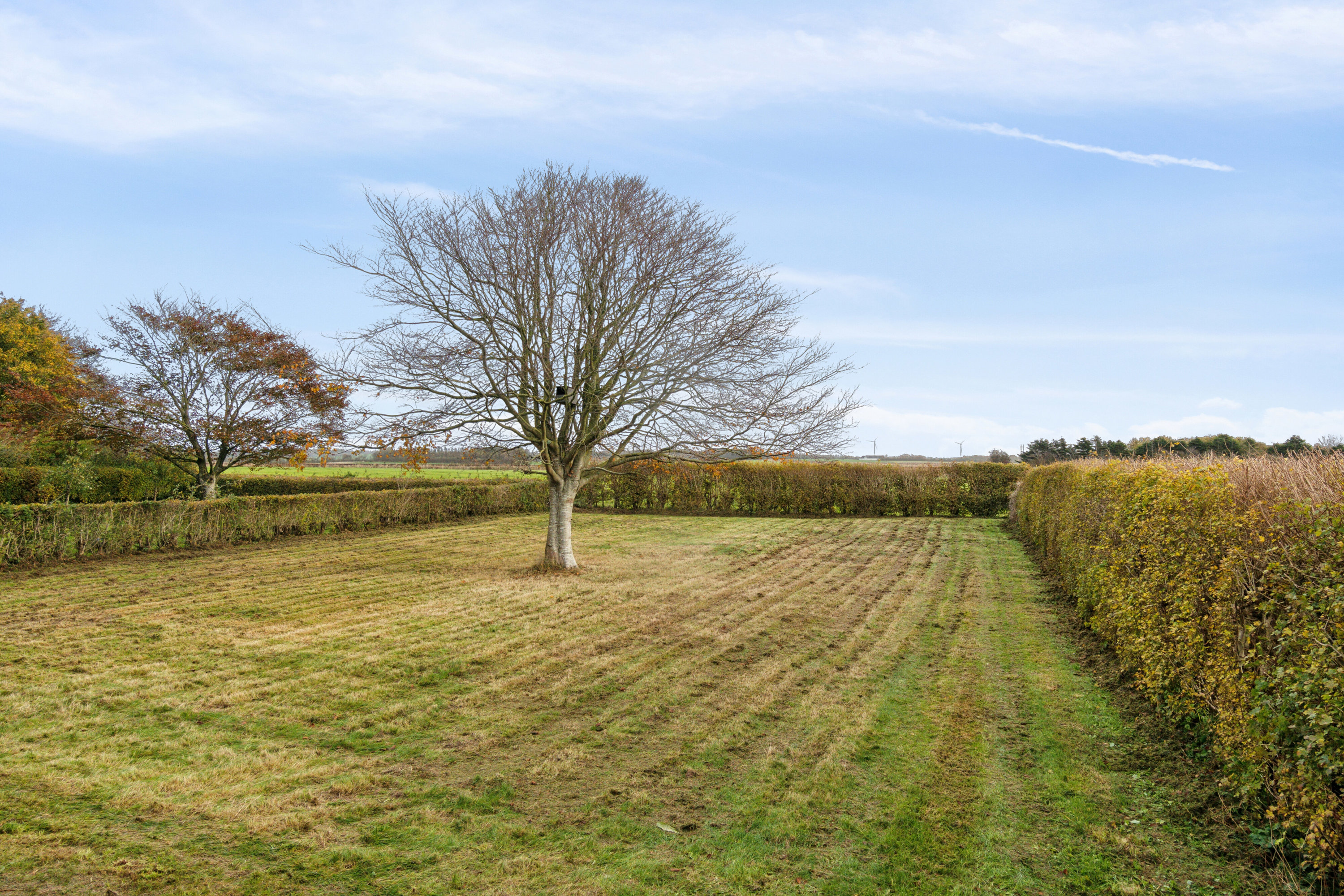 Fremhævet set fra haven billede i fuldskærmstilstand. Billede af Tøvlingvej 40, 7752 Snedsted