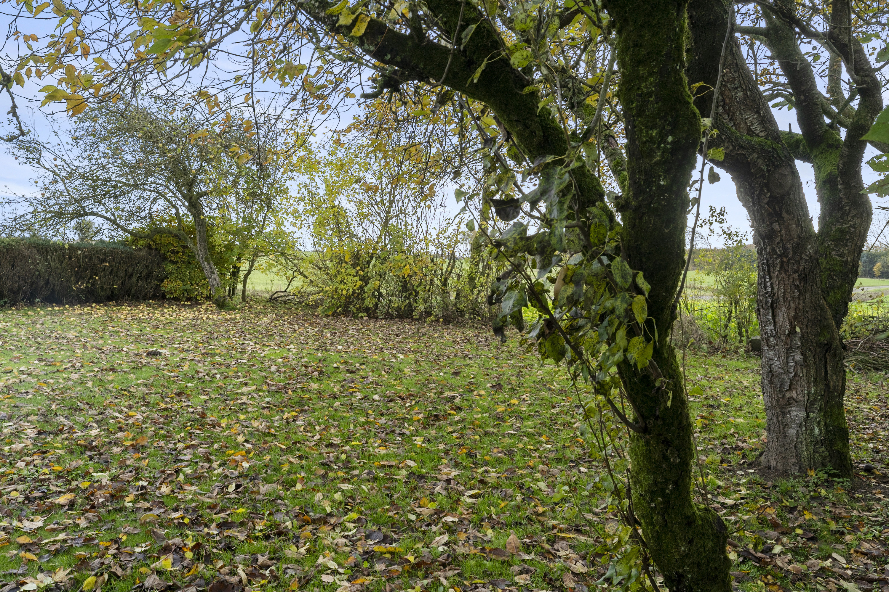 Fremhævet område billede i fuldskærmstilstand. Billede af Nymarksvej 2, Hornborg, 8762 Flemming