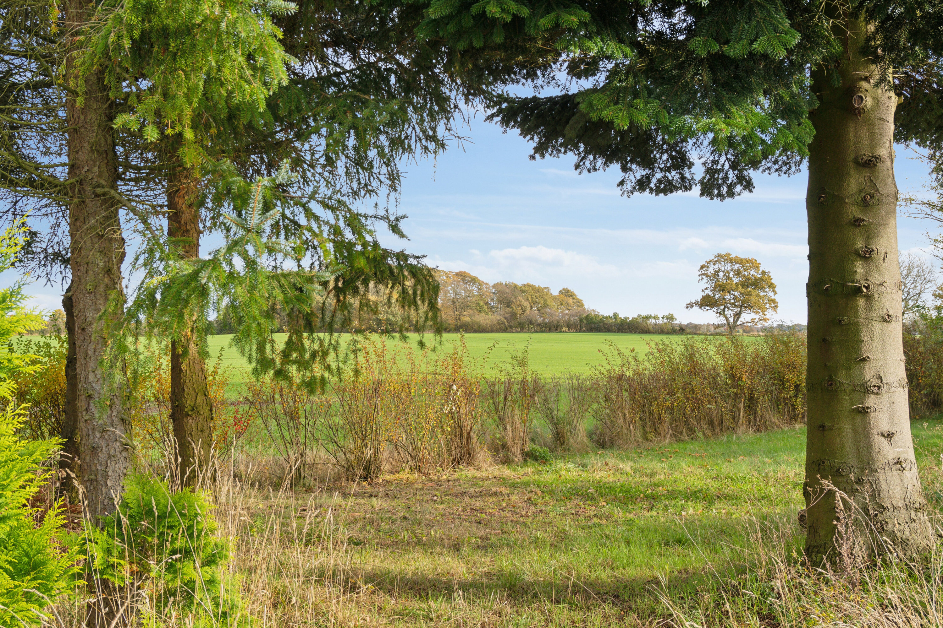 Fremhævet omgivelser billede i fuldskærmstilstand. Billede af Vesterskov 13, Søllinge, 5750 Ringe
