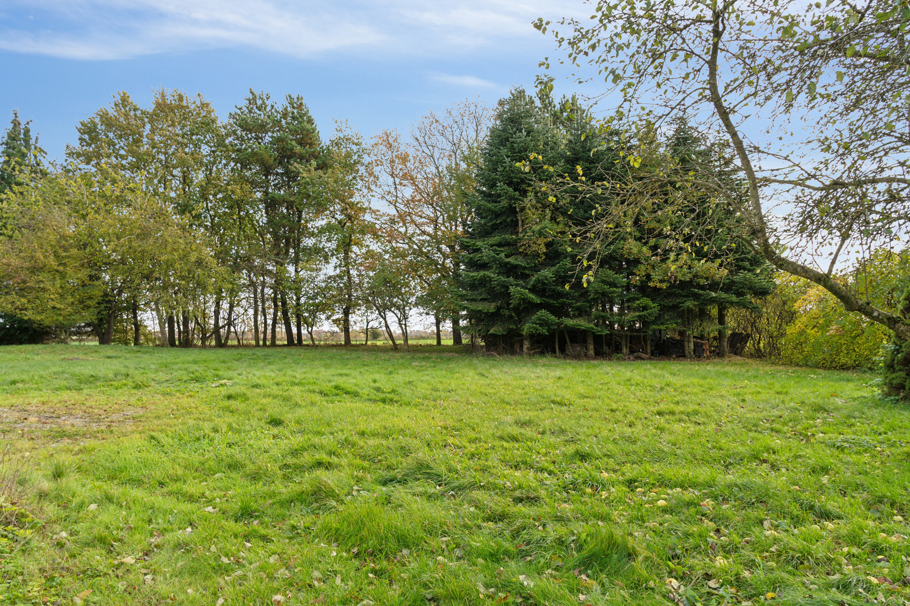 Fremhævet omgivelser billede i fuldskærmstilstand. Billede af Vesterskov 13, Søllinge, 5750 Ringe