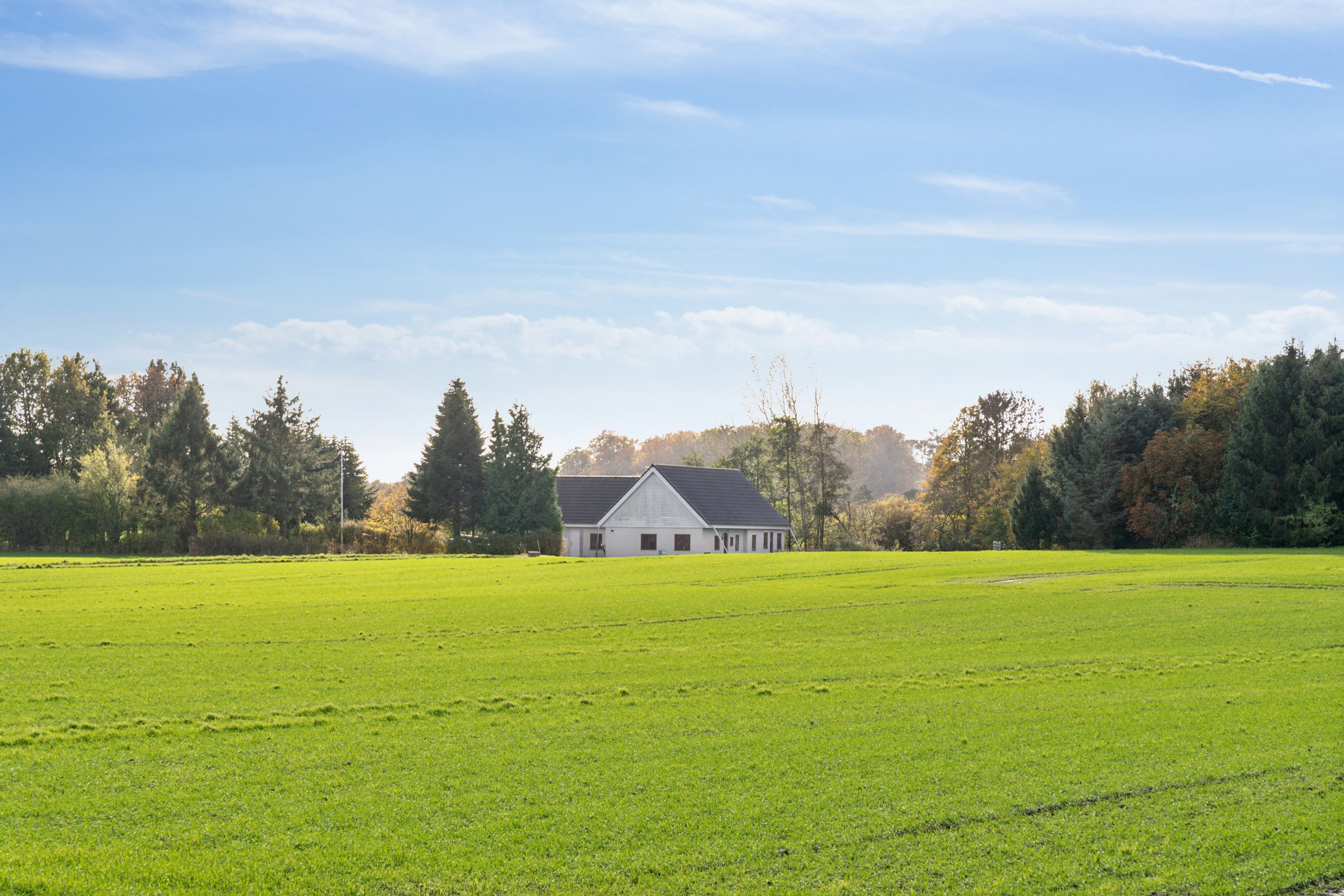 Fremhævet have billede i fuldskærmstilstand. Billede af Vesterskov 13, Søllinge, 5750 Ringe