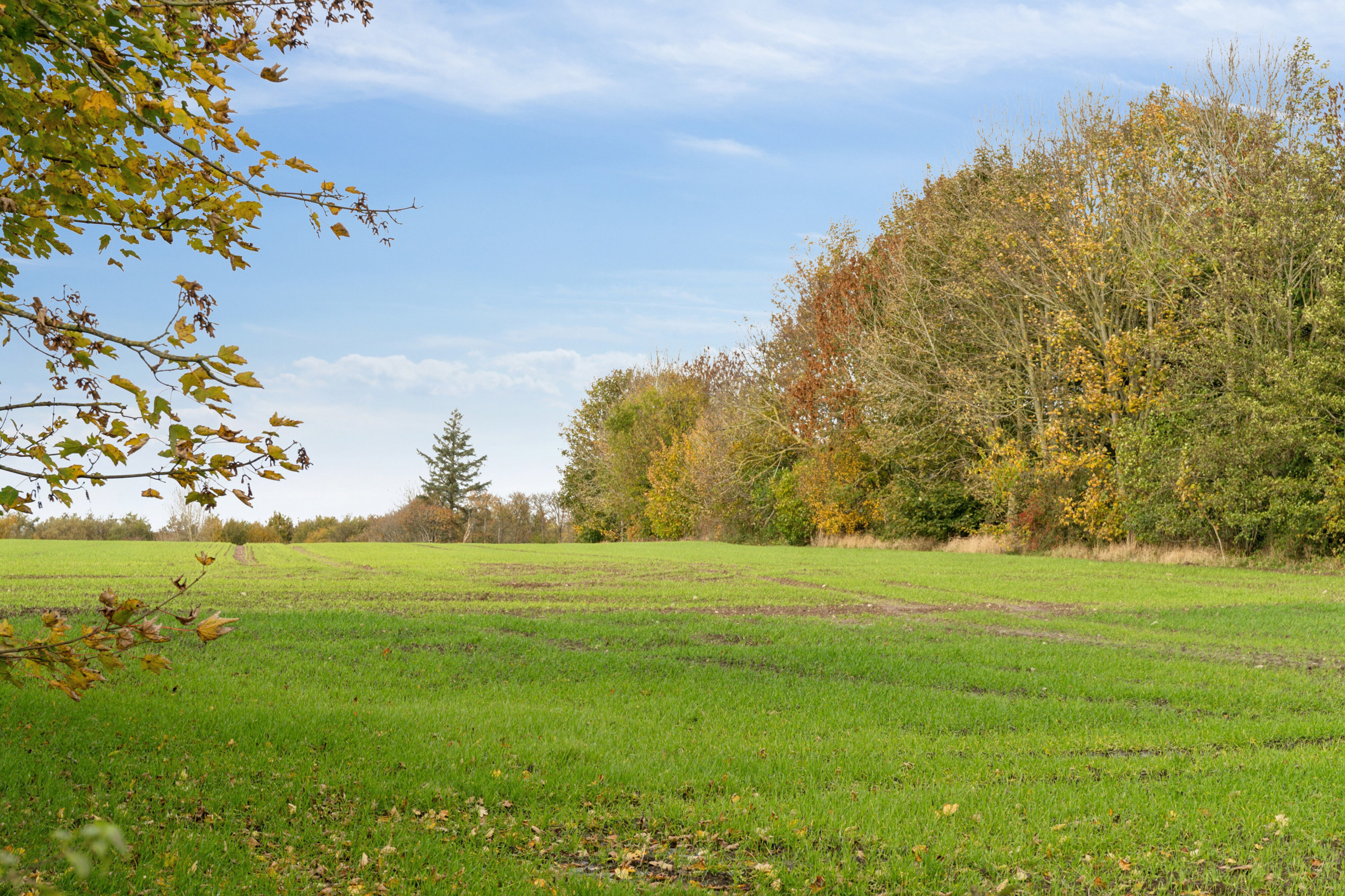 Fremhævet omgivelser billede i fuldskærmstilstand. Billede af Vesterskov 13, Søllinge, 5750 Ringe