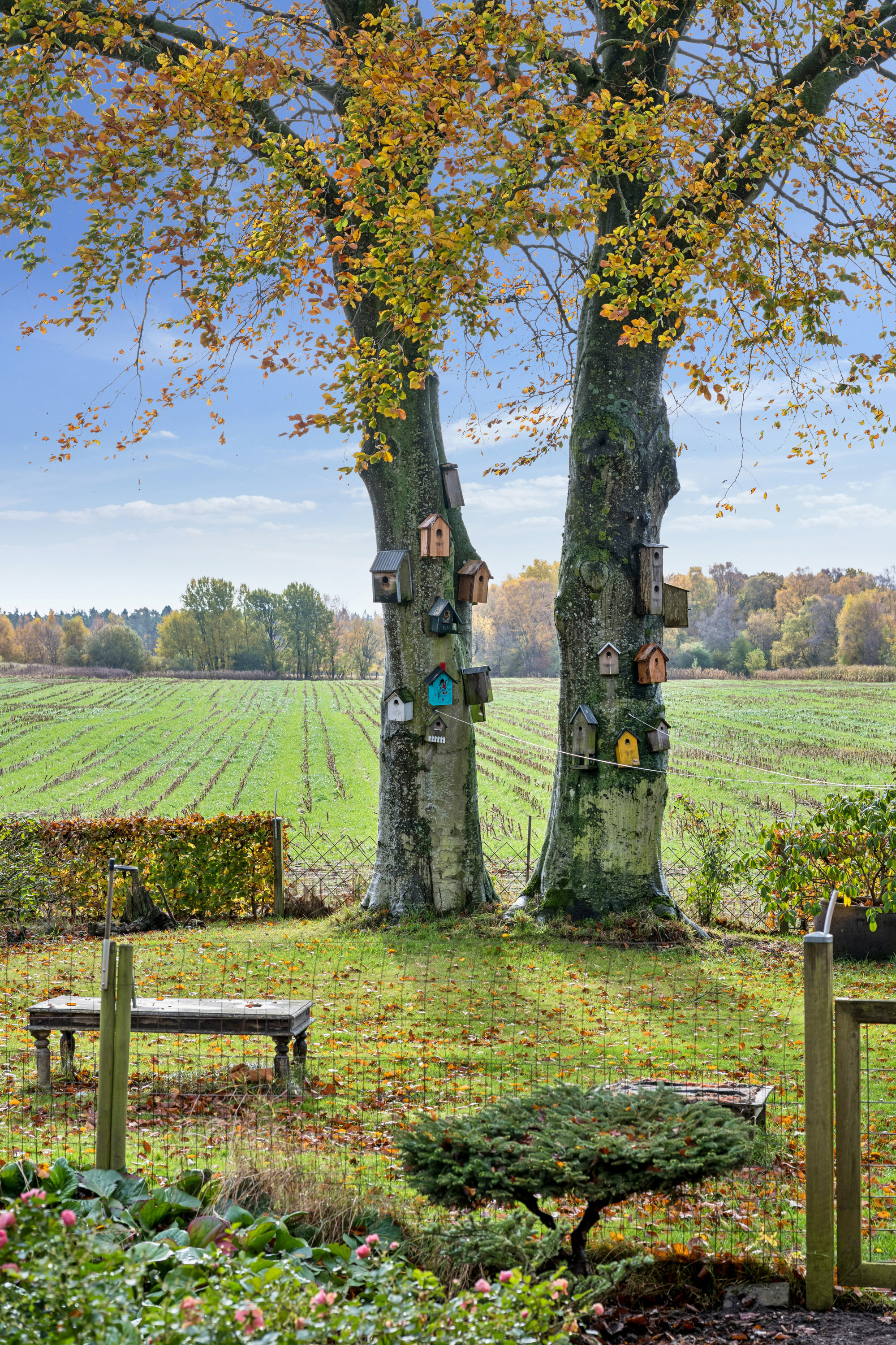 Fremhævet have billede i fuldskærmstilstand. Billede af Eskilsagre 12, Nørager, 8961 Allingåbro