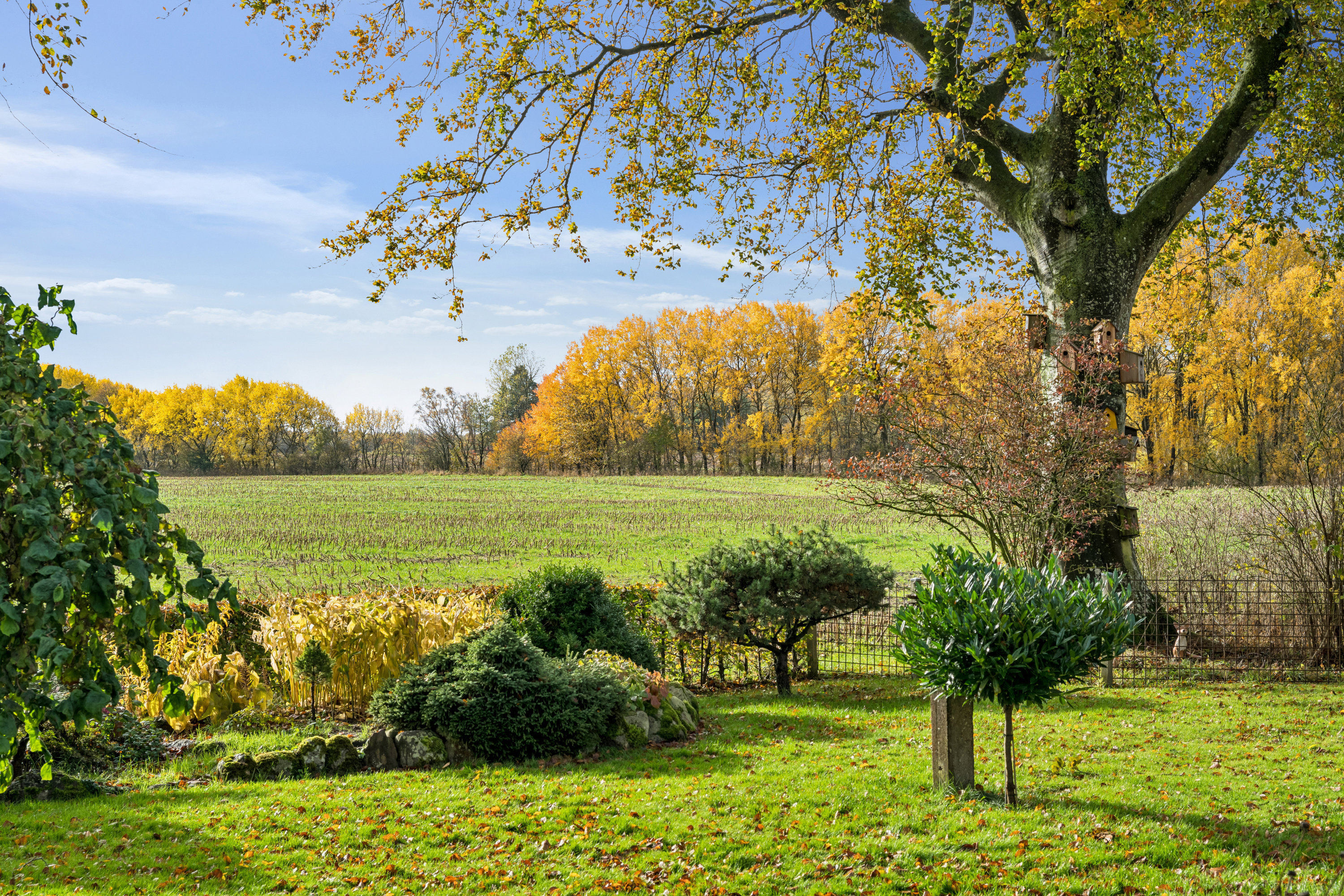 Fremhævet have billede i fuldskærmstilstand. Billede af Eskilsagre 12, Nørager, 8961 Allingåbro