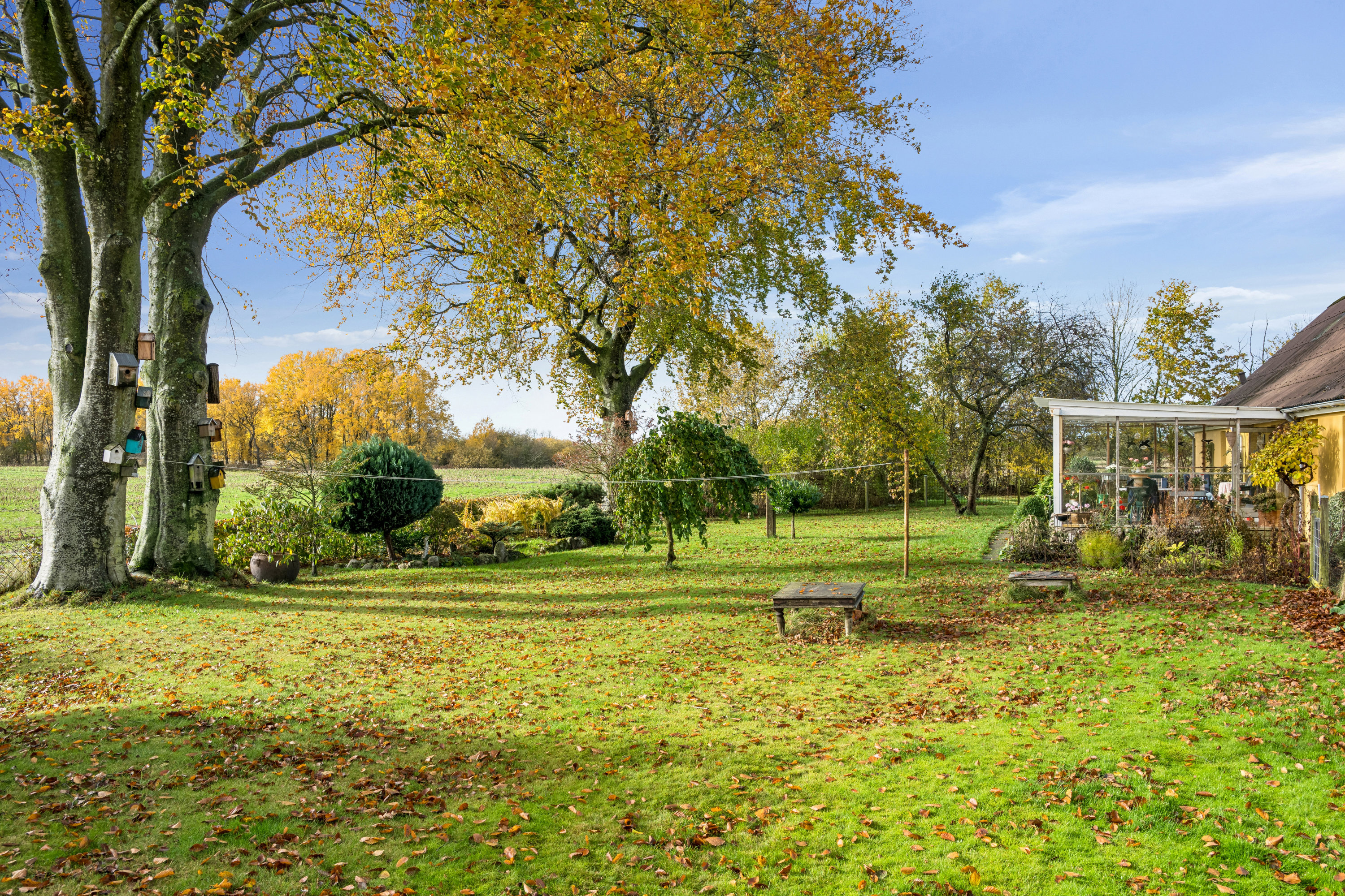 Fremhævet have billede i fuldskærmstilstand. Billede af Eskilsagre 12, Nørager, 8961 Allingåbro