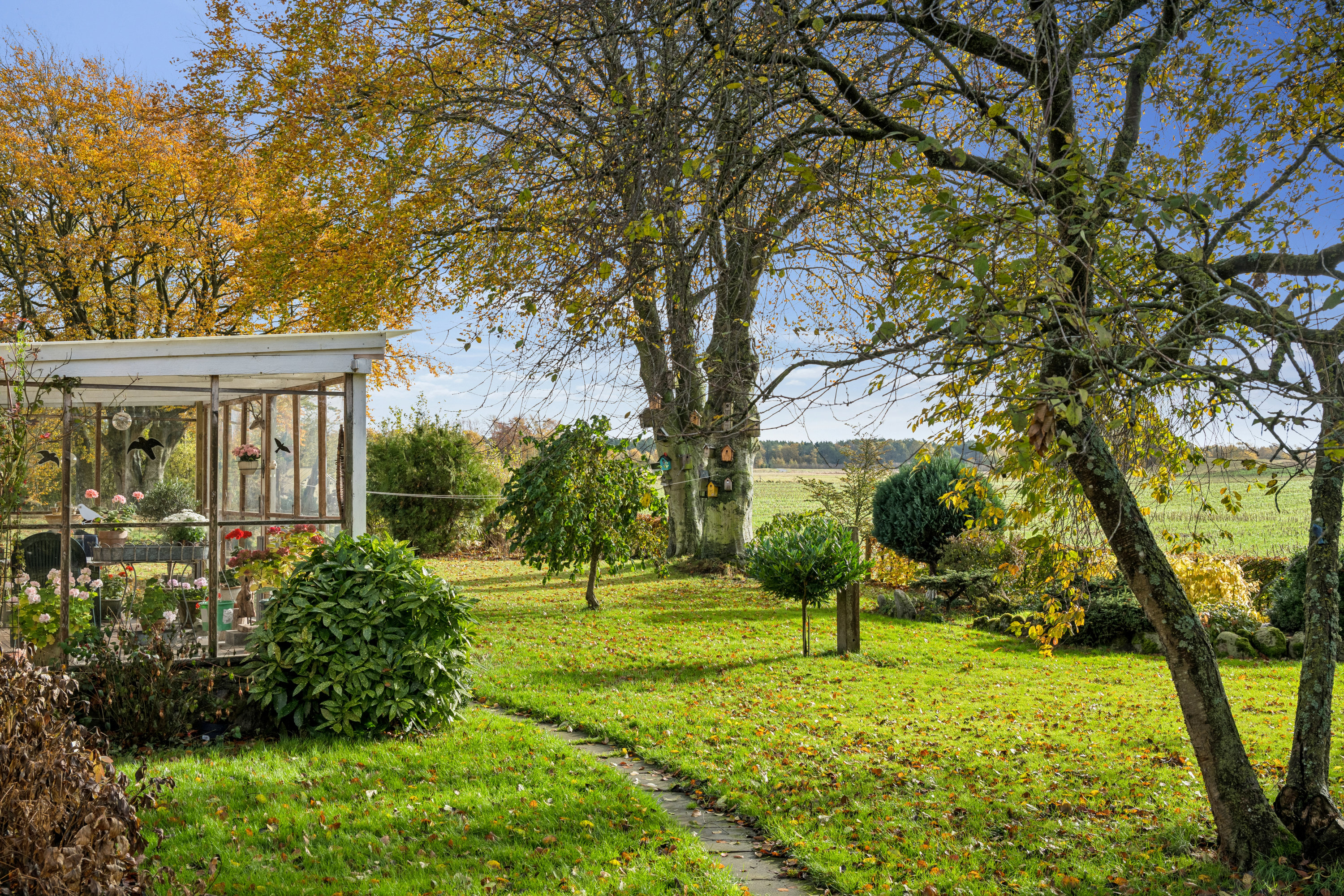 Fremhævet have billede i fuldskærmstilstand. Billede af Eskilsagre 12, Nørager, 8961 Allingåbro