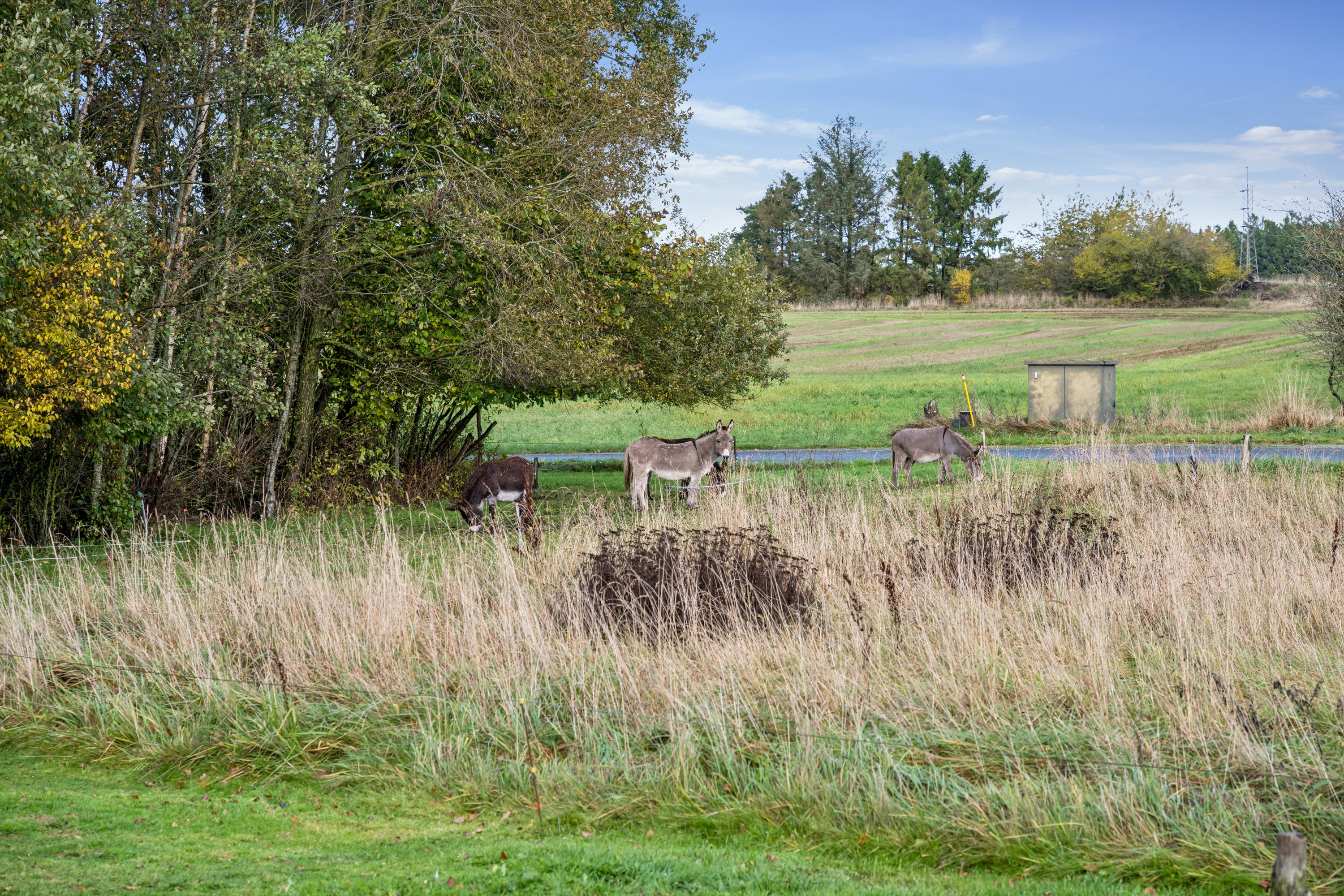 Fremhævet have billede i fuldskærmstilstand. Billede af Eskilsagre 12, Nørager, 8961 Allingåbro