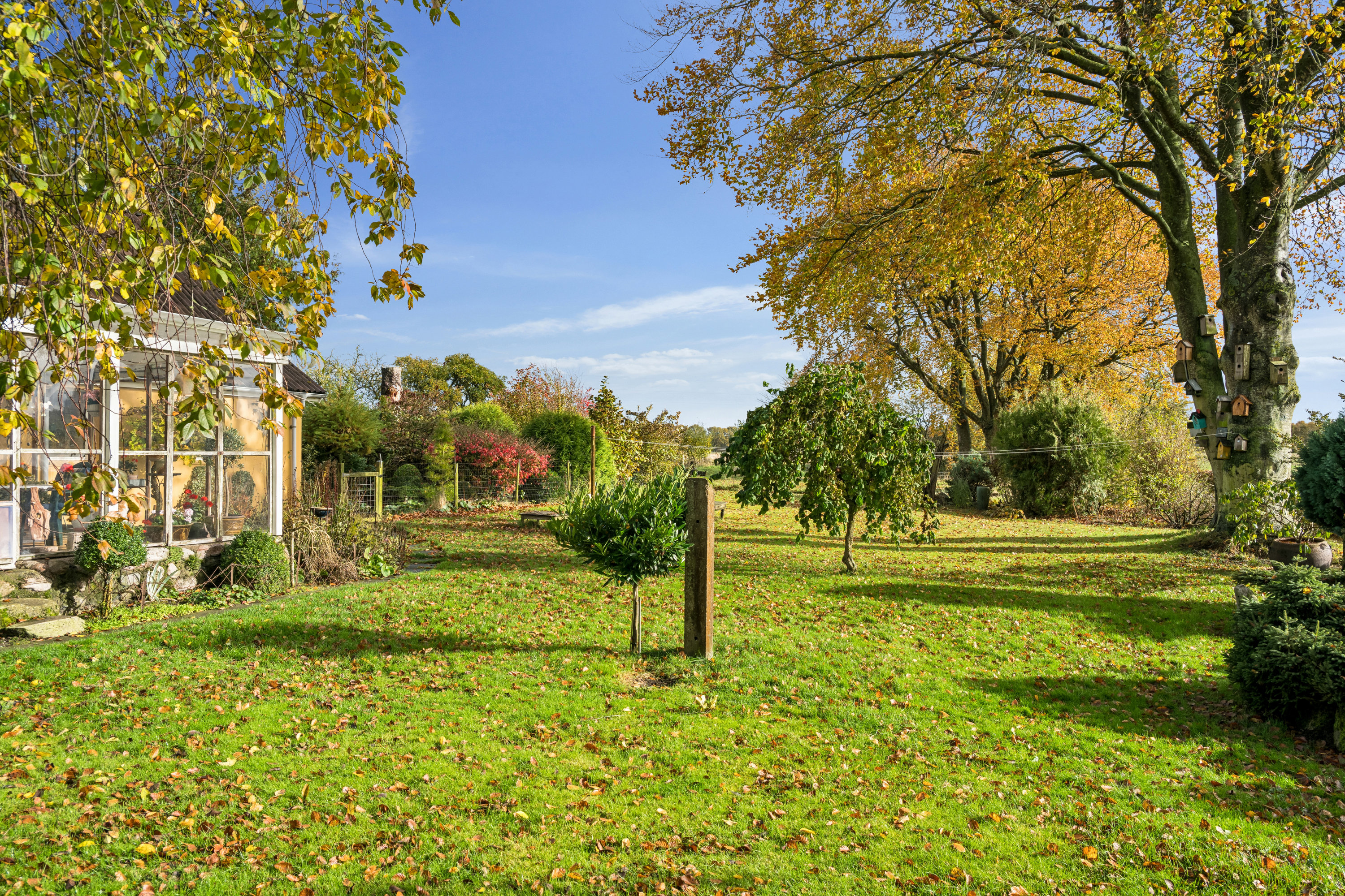 Fremhævet have billede i fuldskærmstilstand. Billede af Eskilsagre 12, Nørager, 8961 Allingåbro