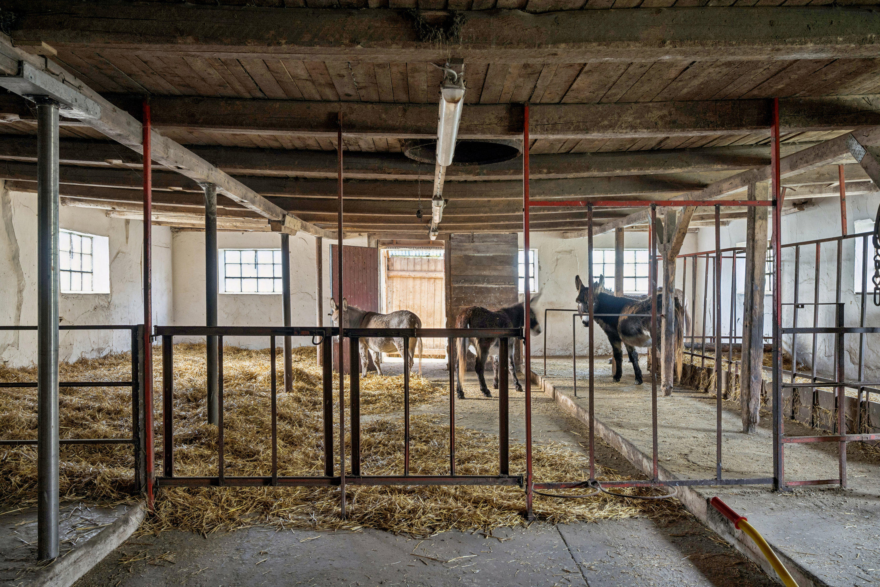 Fremhævet stald billede i fuldskærmstilstand. Billede af Eskilsagre 12, Nørager, 8961 Allingåbro