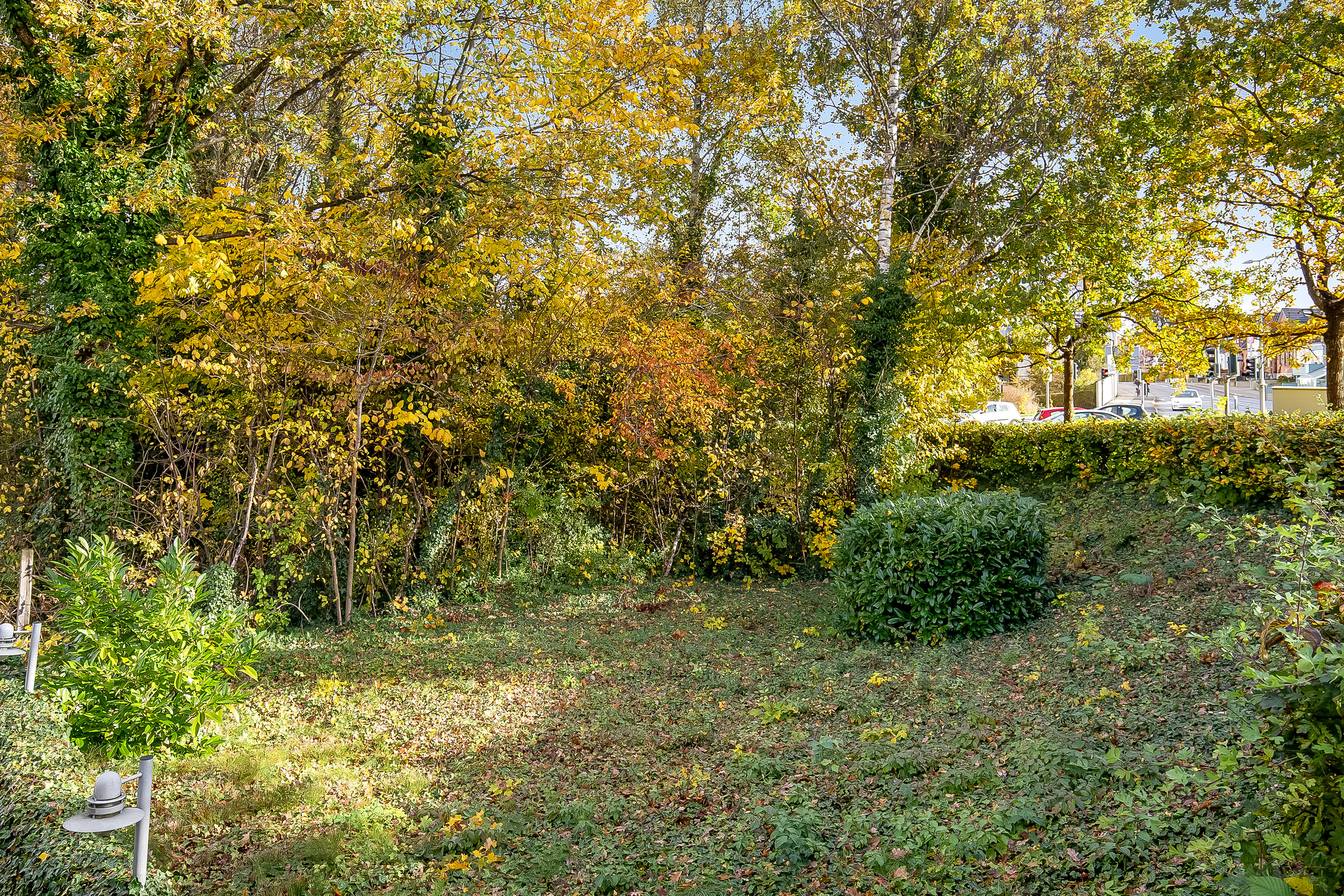 Fremhævet have billede i fuldskærmstilstand. Billede af Olaf Ryes Gade 2, 6000 Kolding