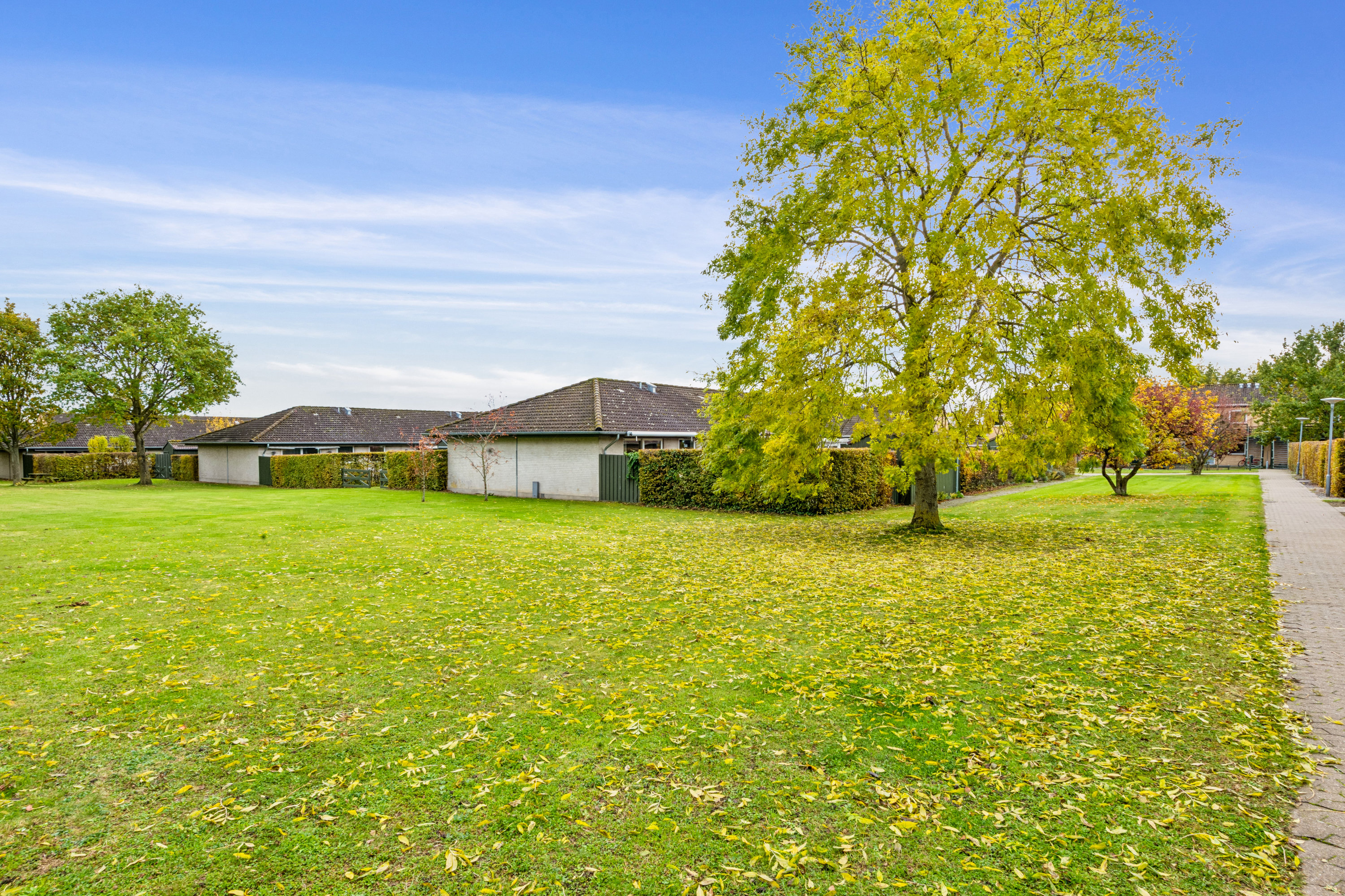Fremhævet have billede i fuldskærmstilstand. Billede af Morbærhegnet 53, 2670 Greve