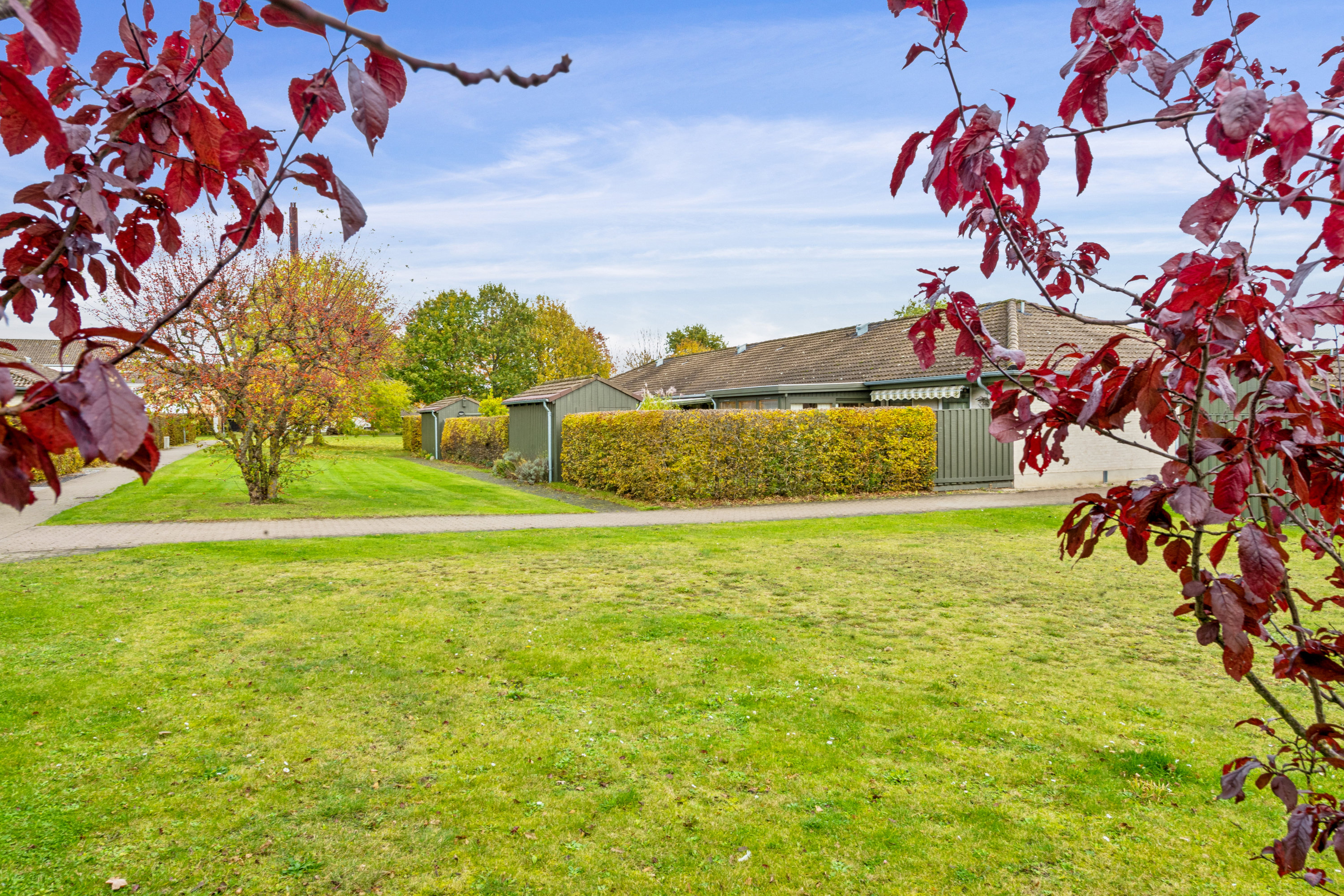 Fremhævet have billede i fuldskærmstilstand. Billede af Morbærhegnet 53, 2670 Greve