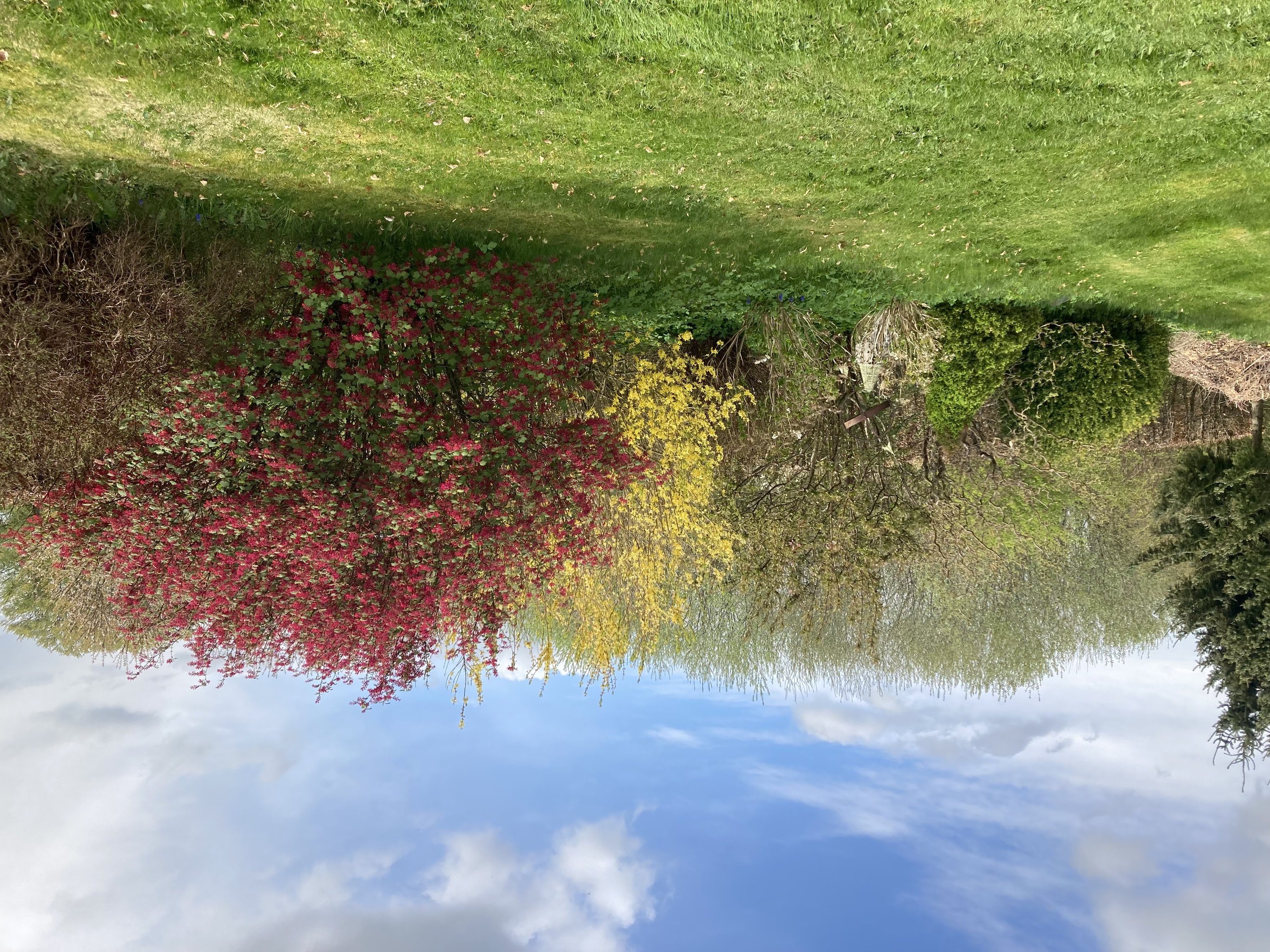 Fremhævet have billede i fuldskærmstilstand. Billede af Ustrupvej 13, Ustrup, 8660 Skanderborg