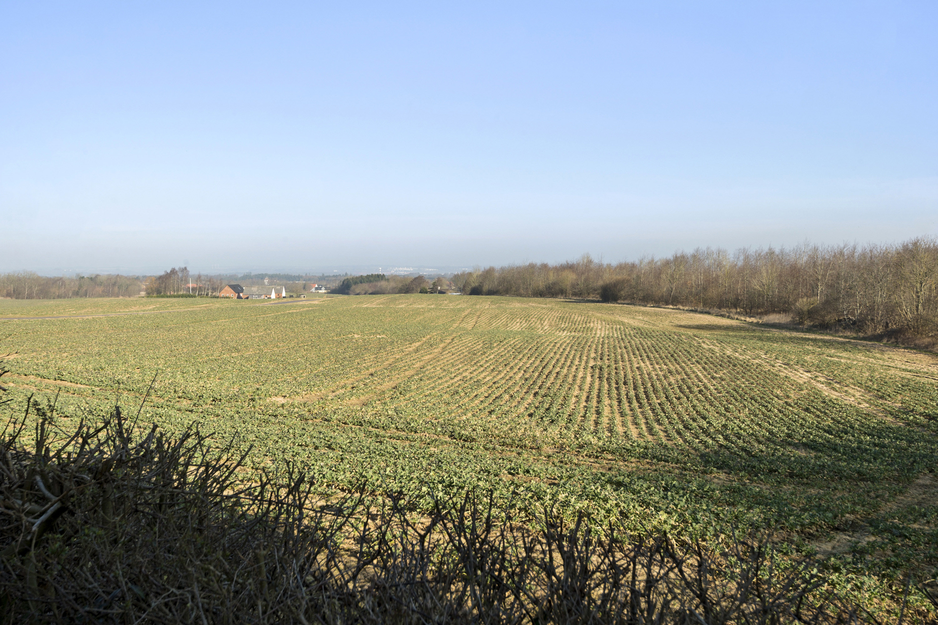 Fremhævet område billede i fuldskærmstilstand. Billede af Ustrupvej 13, Ustrup, 8660 Skanderborg