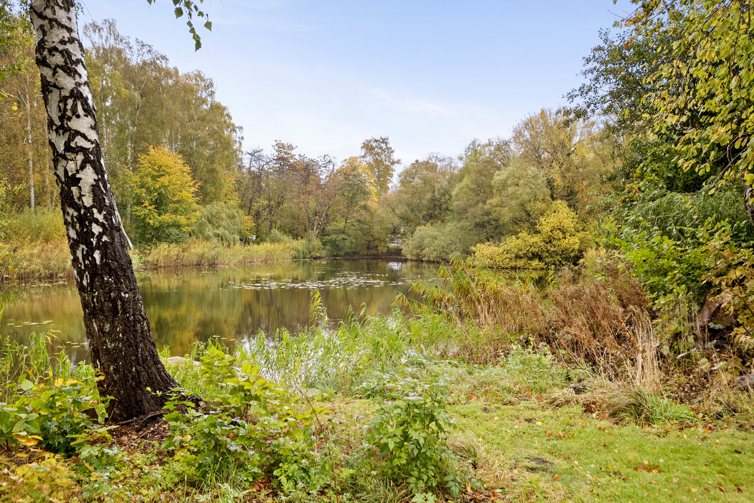 Miniaturebillede 2: område. Billede af Ellesøpark 40, 2950 Vedbæk