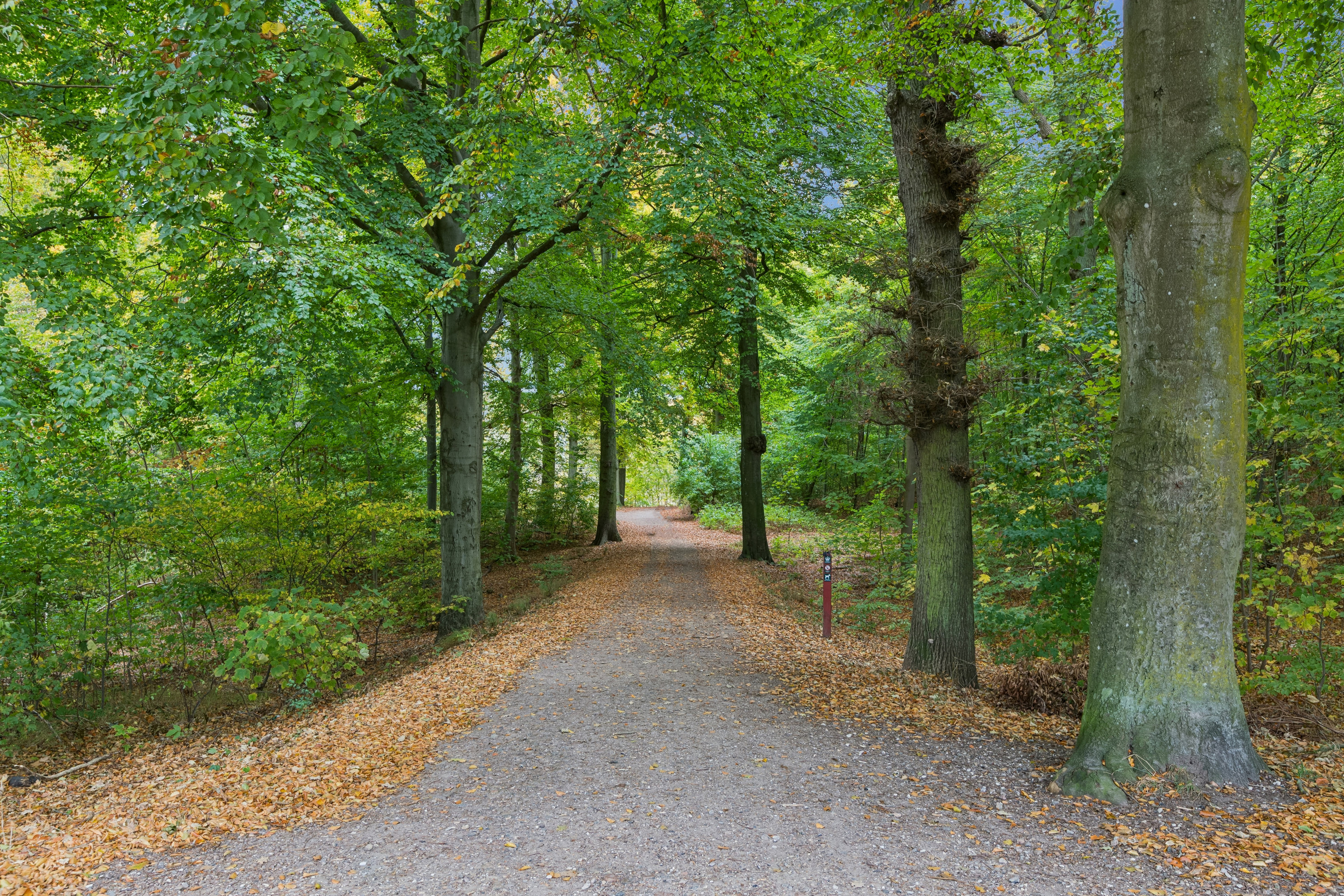 Fremhævet have billede i fuldskærmstilstand. Billede af Kofod Anchers Vej 16B, 3060 Espergærde