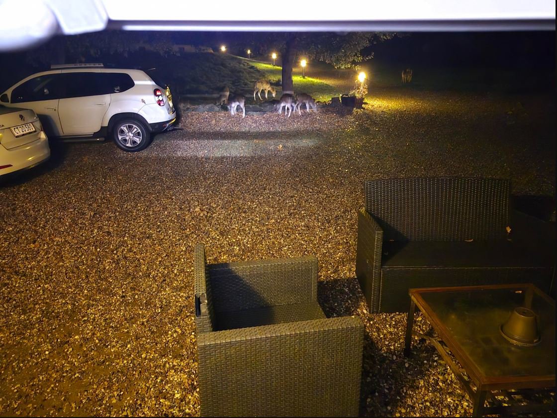 Fremhævet  billede i fuldskærmstilstand. Billede af Løgeskov 64A, 5771 Stenstrup