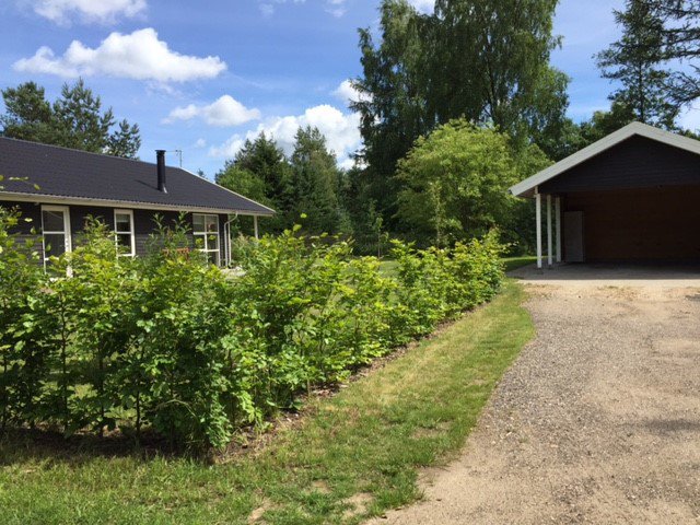 Fremhævet  billede i fuldskærmstilstand. Billede af Kollerhus 84, 8600 Silkeborg