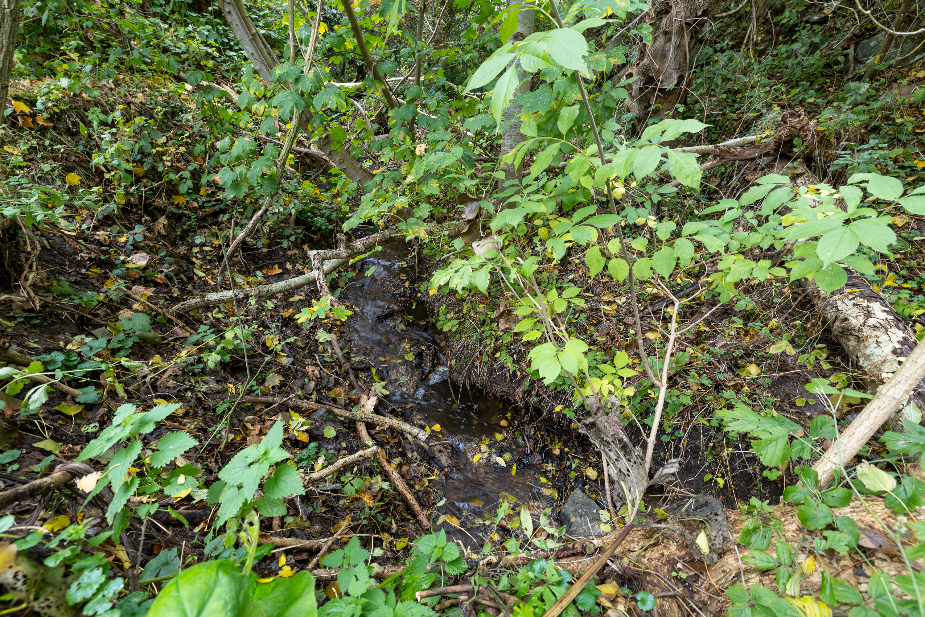Fremhævet facade billede i fuldskærmstilstand. Billede af Bjernevej 76, 5600 Faaborg