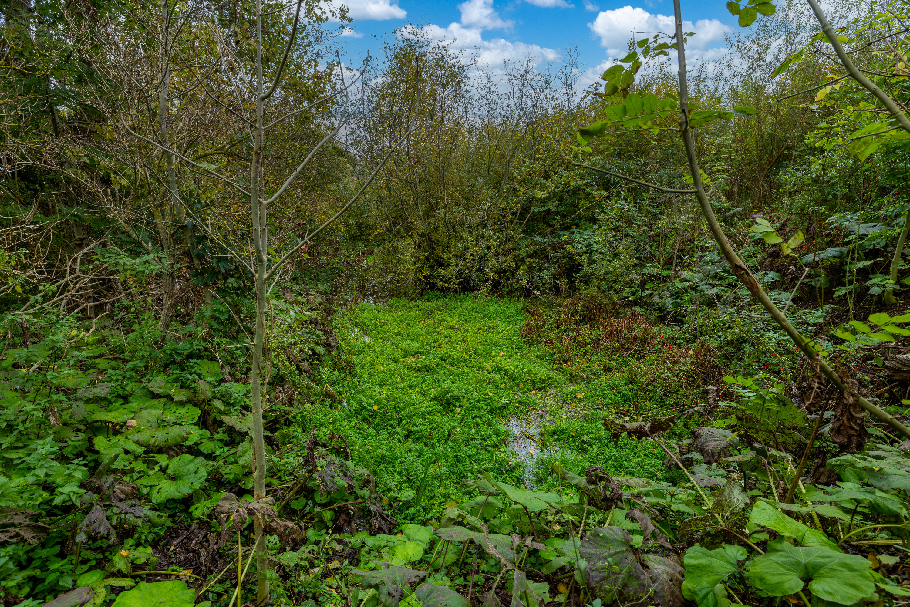 Fremhævet udsigt billede i fuldskærmstilstand. Billede af Bjernevej 76, 5600 Faaborg