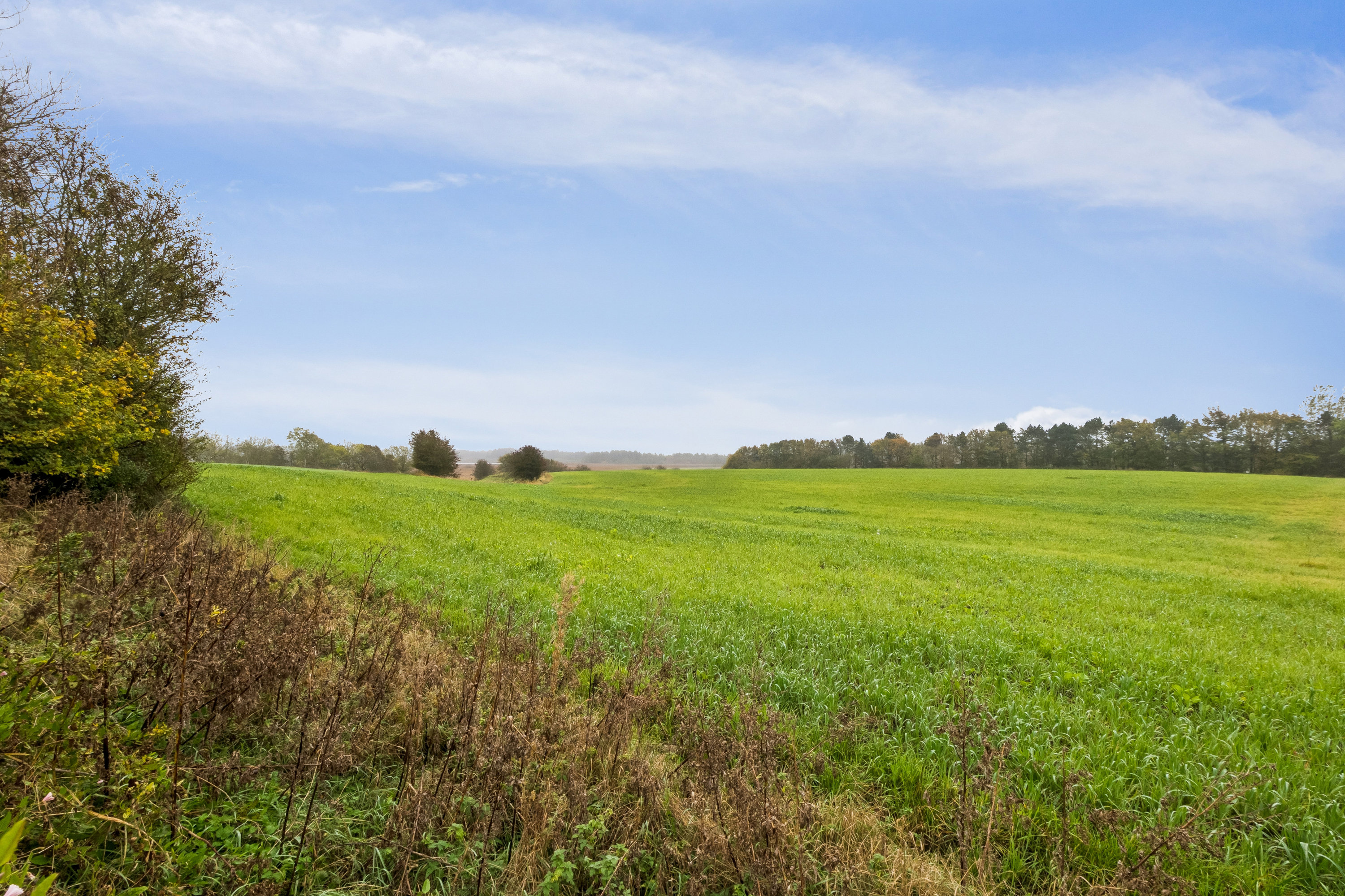 Fremhævet omgivelser billede i fuldskærmstilstand. Billede af Fjordkær 129, Vester Jølby, 7950 Erslev