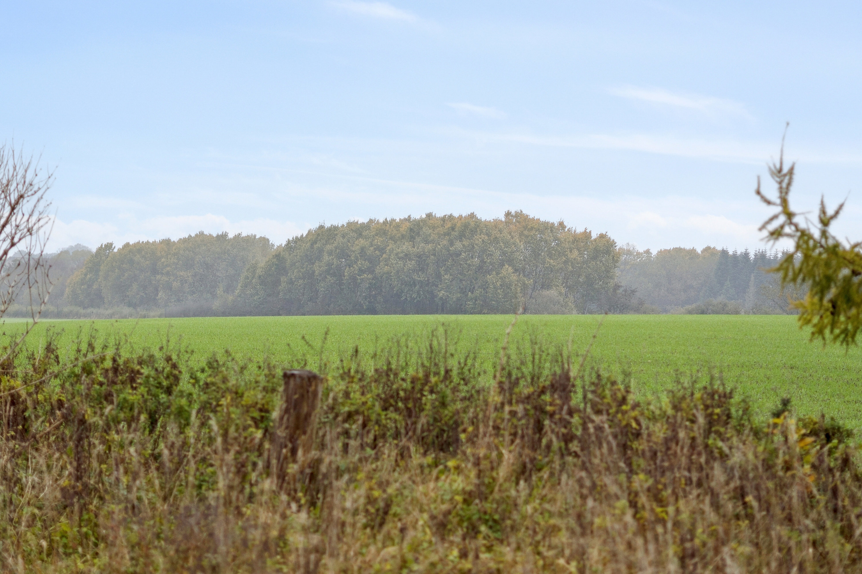 Fremhævet omgivelser billede i fuldskærmstilstand. Billede af Hovkrog 3, 4684 Holmegaard