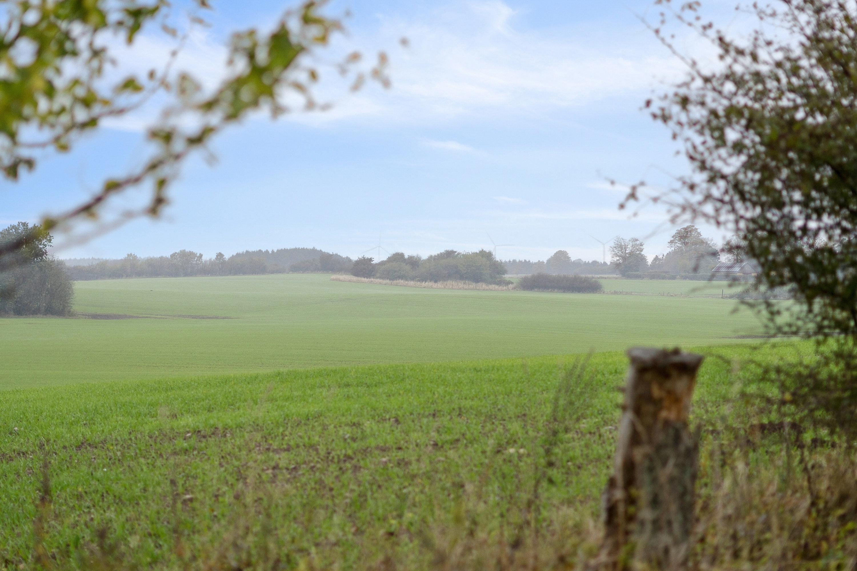 Fremhævet omgivelser billede i fuldskærmstilstand. Billede af Hovkrog 3, 4684 Holmegaard