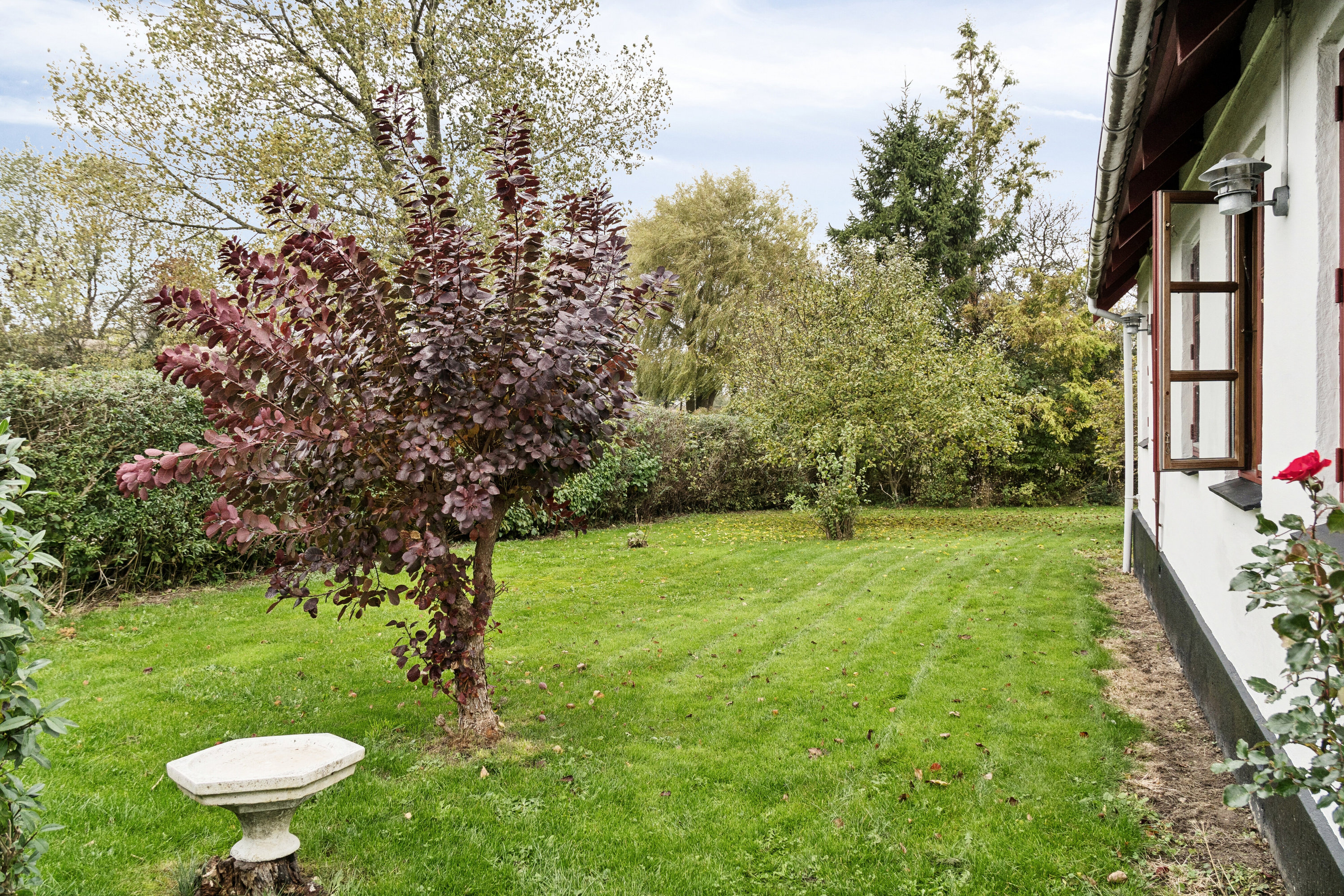 Fremhævet set fra haven billede i fuldskærmstilstand. Billede af Gudmindrup Mosevej 1, Gudmindrup, 4573 Højby