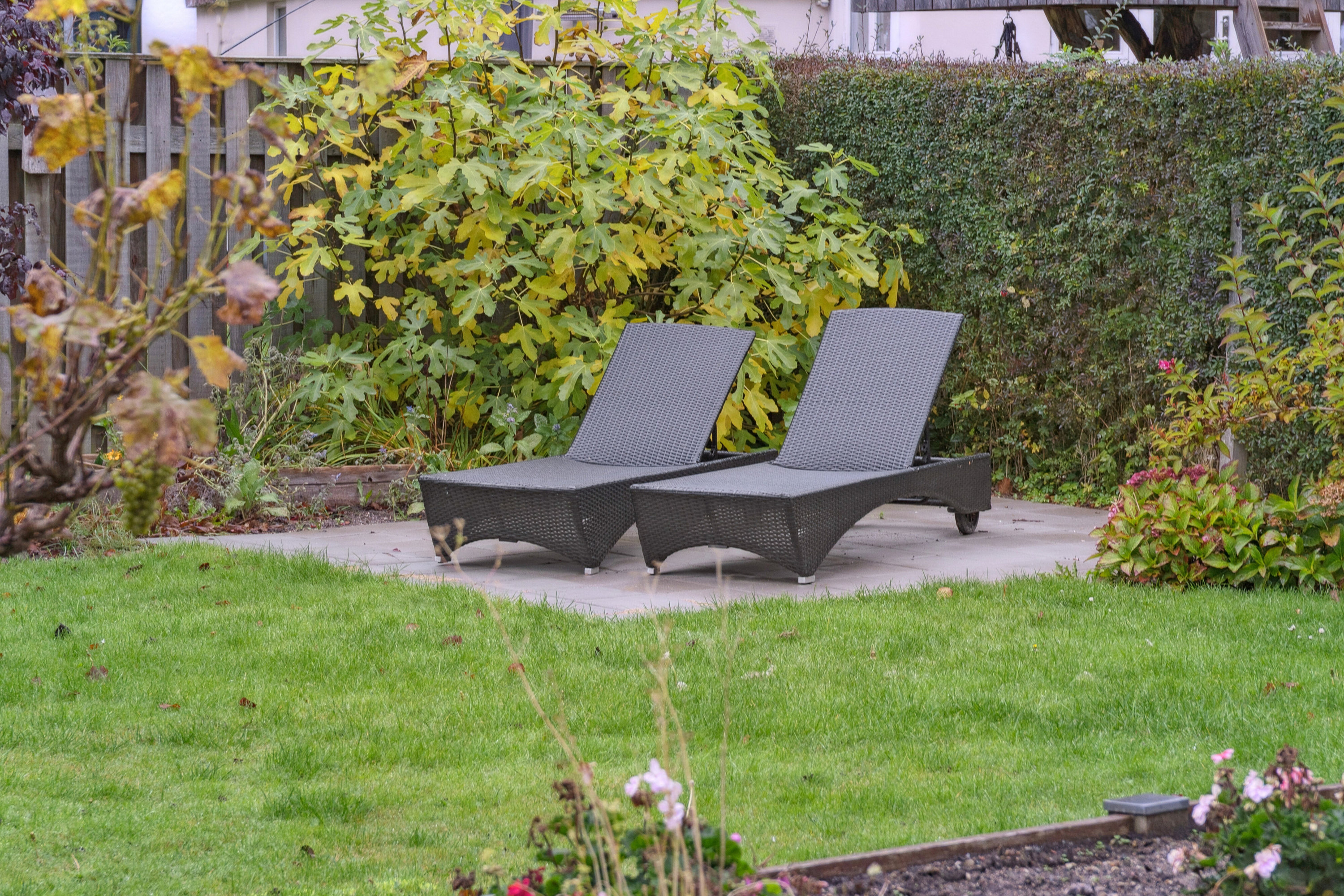 Fremhævet udendørs billede i fuldskærmstilstand. Billede af Moltkesvej 7, 5000 Odense C