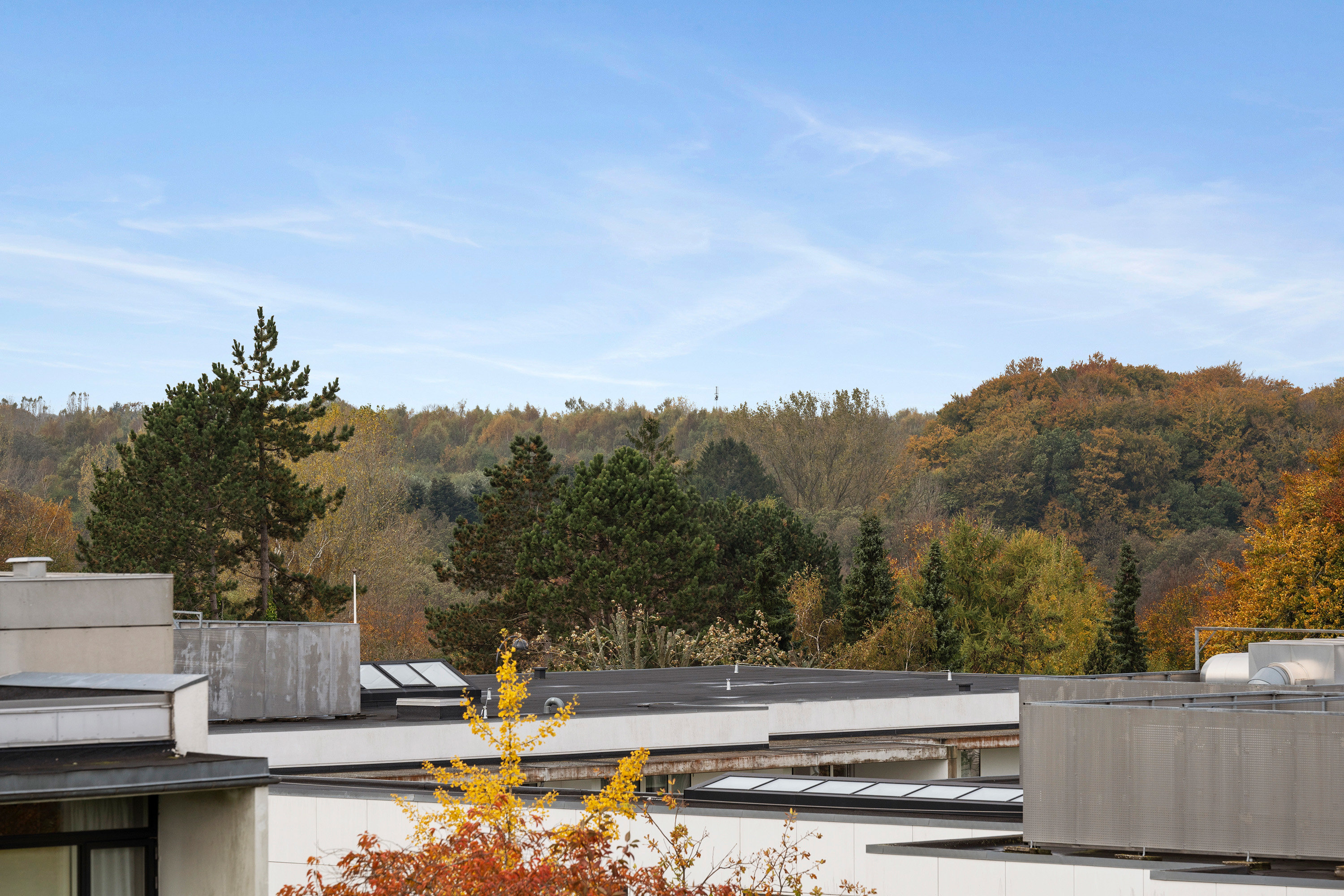 Fremhævet ejendommen billede i fuldskærmstilstand. Billede af Pilehøj 2C, 1. tv., 3460 Birkerød