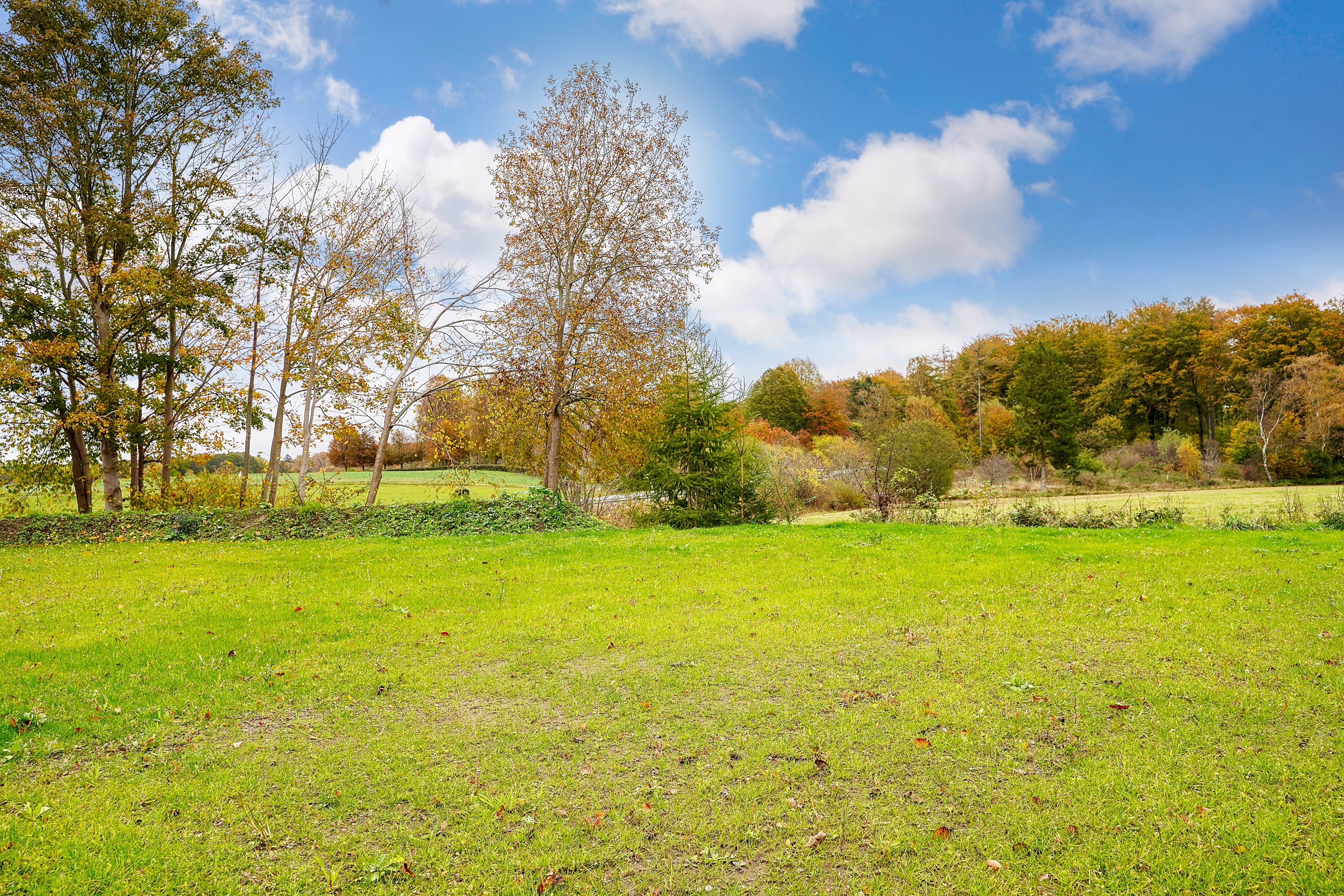 Miniaturebillede 1: have. Billede af Hornbækvej 315, 3080 Tikøb