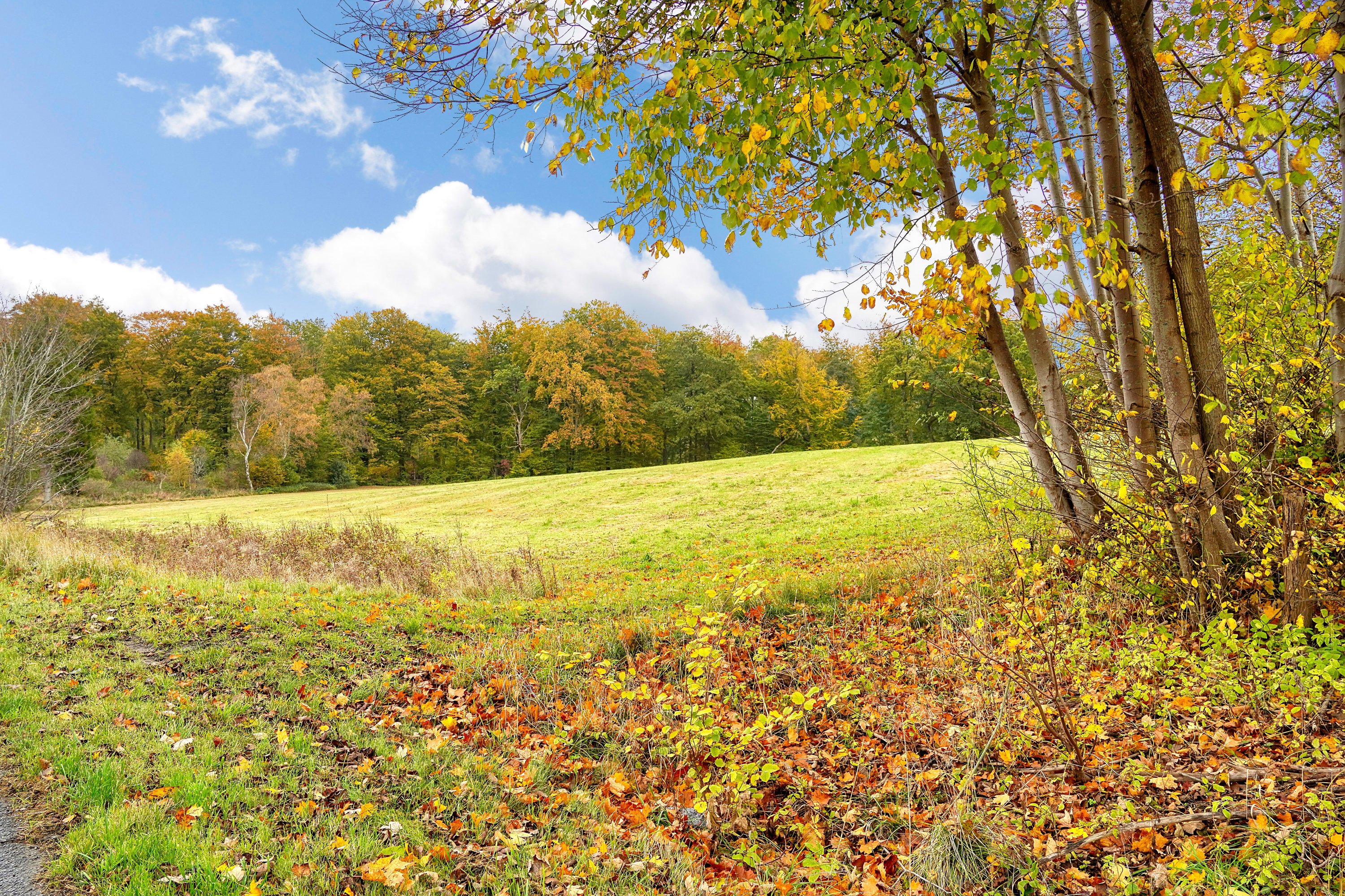 Fremhævet have billede i fuldskærmstilstand. Billede af Hornbækvej 315, 3080 Tikøb
