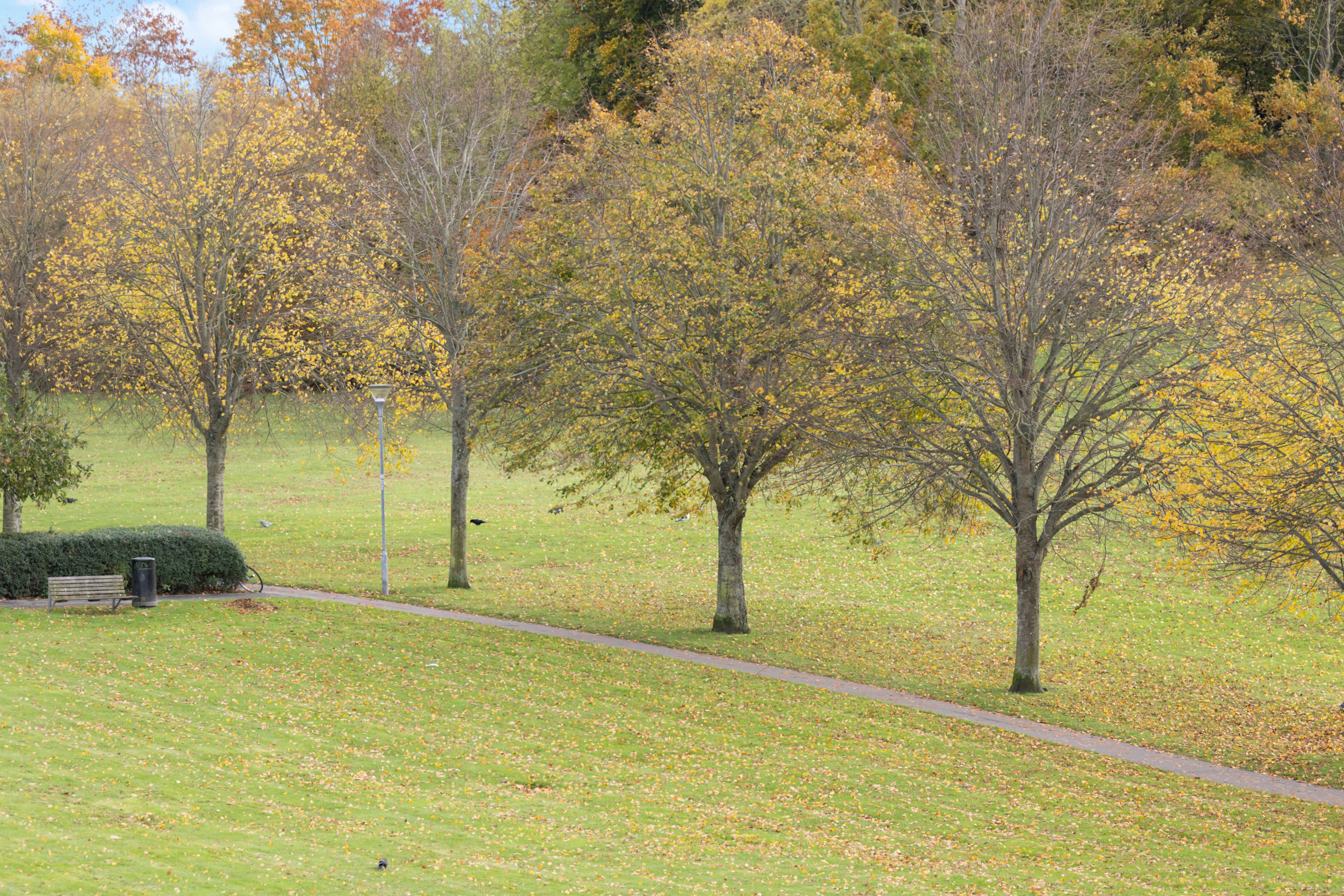 Fremhævet grønne arealer billede i fuldskærmstilstand. Billede af Grøfthøjparken 154, 3. 4., 8260 Viby J
