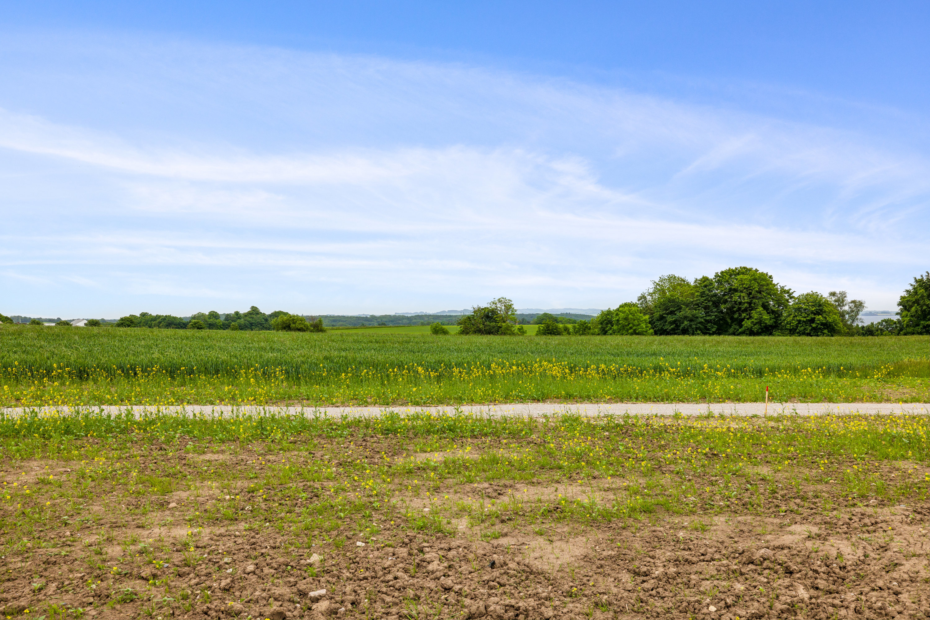 Fremhævet  billede i fuldskærmstilstand. Billede af Sydbjerg 44, Ugelbølle, 8410 Rønde