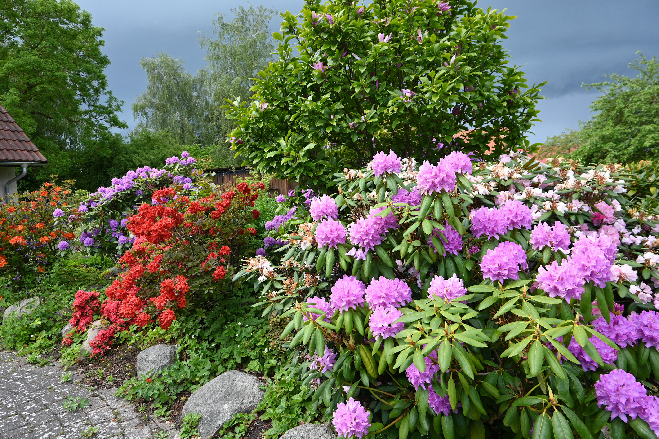 Fremhævet  billede i fuldskærmstilstand. Billede af Illerup Sand 1, 4400 Kalundborg