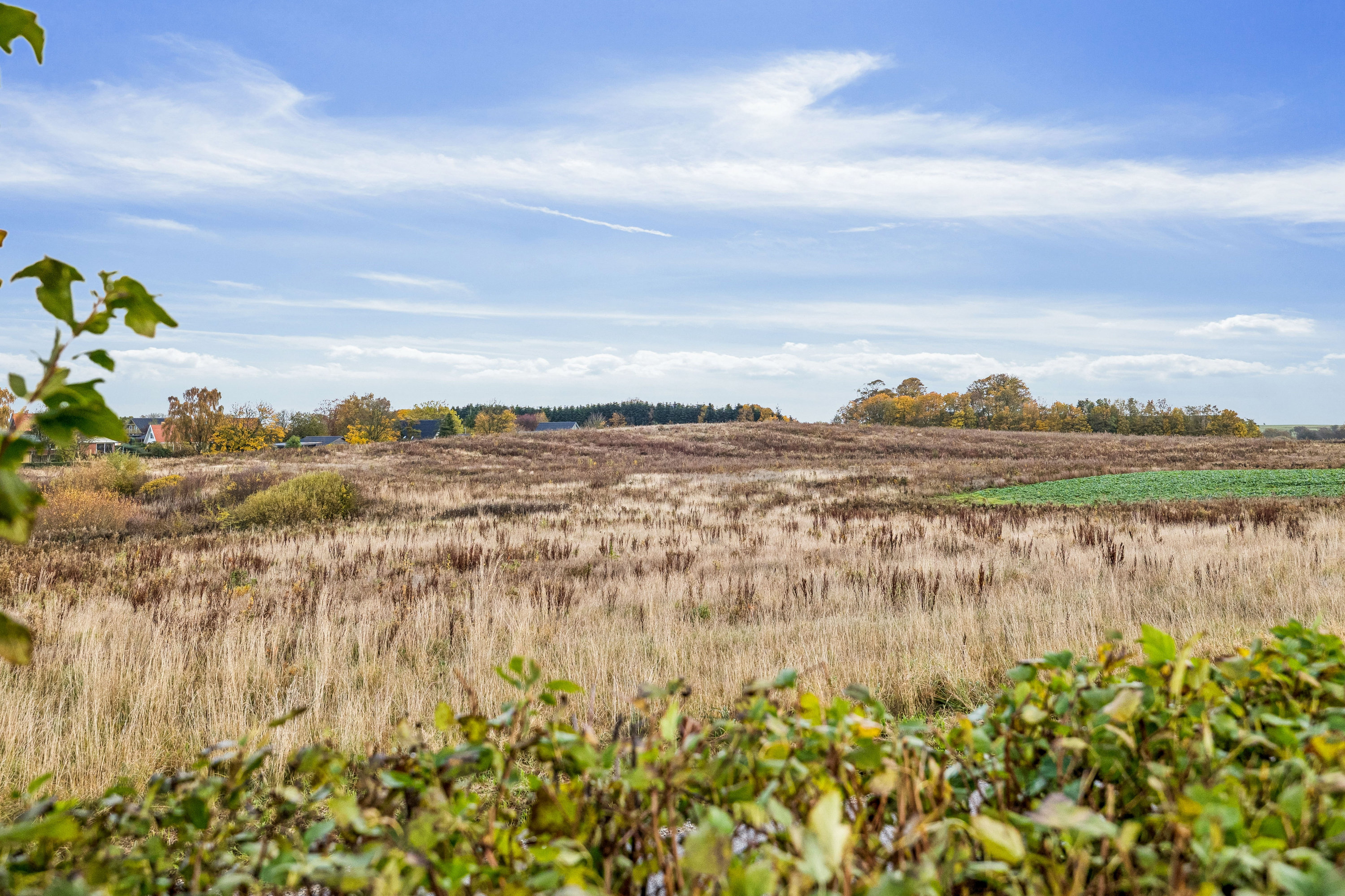 Fremhævet område billede i fuldskærmstilstand. Billede af Skovkildeparken 73, Virring, 8660 Skanderborg