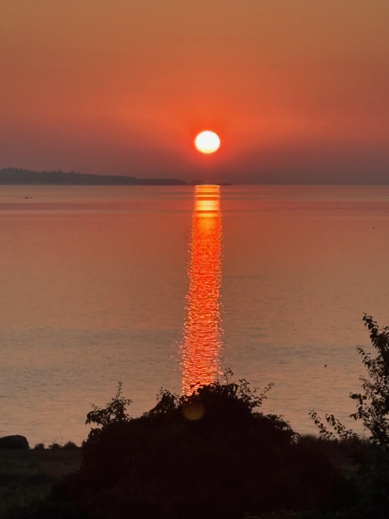 Fremhævet udsigt billede i fuldskærmstilstand. Billede af Ærtebjergvej 9, 4571 Grevinge