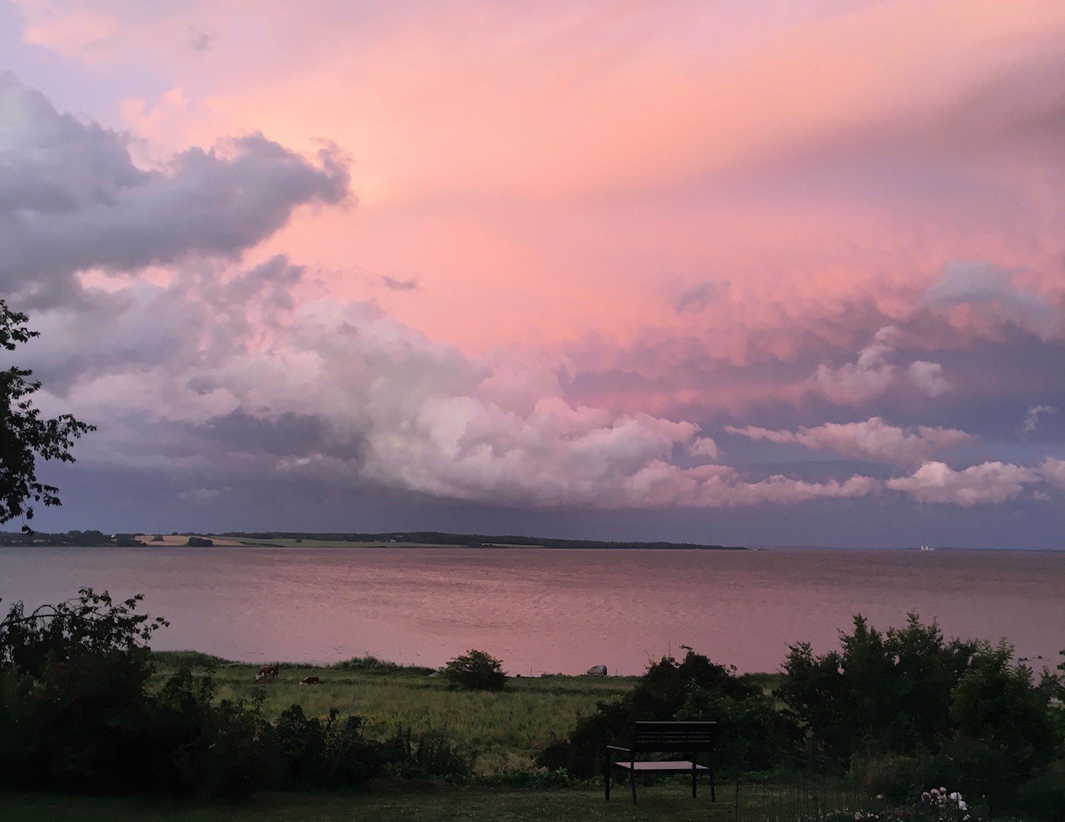 Fremhævet udsigt billede i fuldskærmstilstand. Billede af Ærtebjergvej 9, 4571 Grevinge