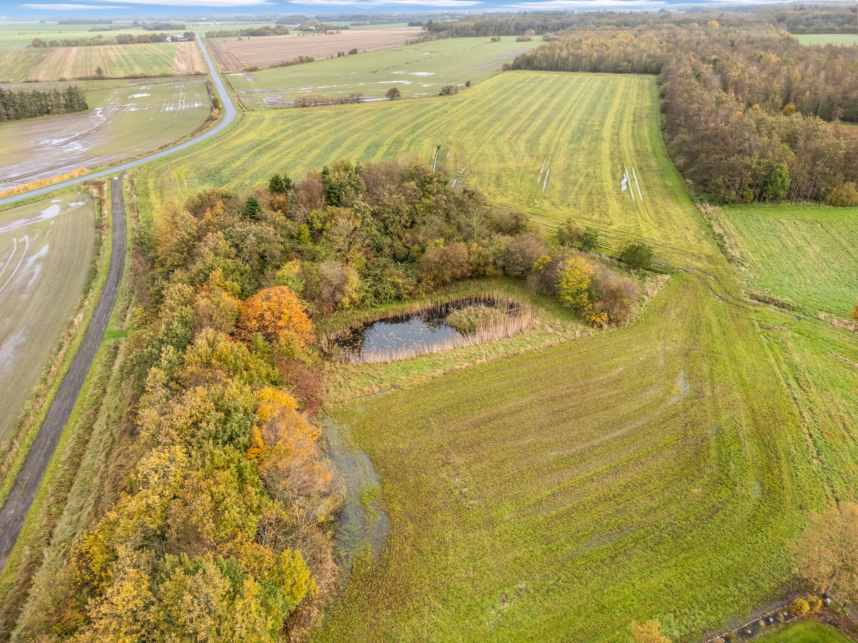 Fremhævet luftfoto billede i fuldskærmstilstand. Billede af Kristine Svendsvej 1, Gallehus, 6270 Tønder