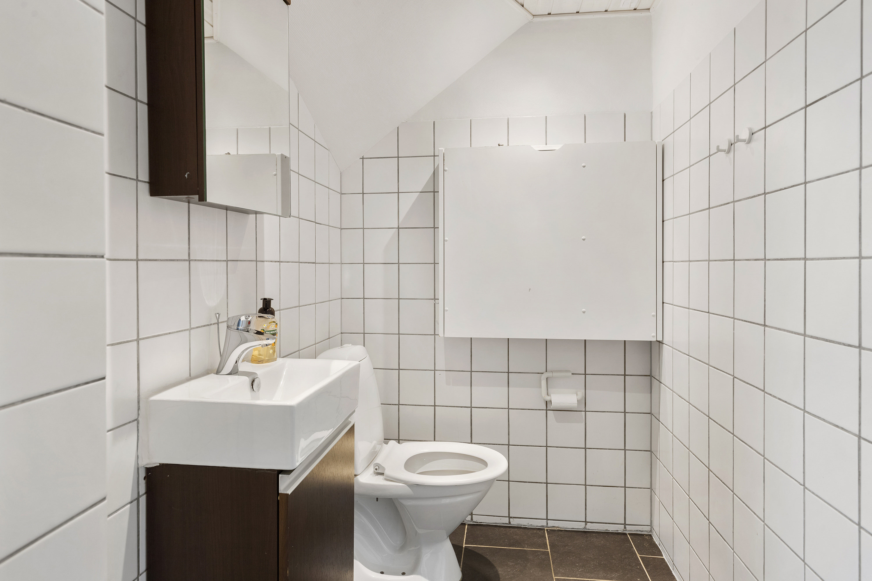 Fremhævet toilet billede i fuldskærmstilstand. Billede af Otto Mallings Kvarter 25, 9700 Brønderslev