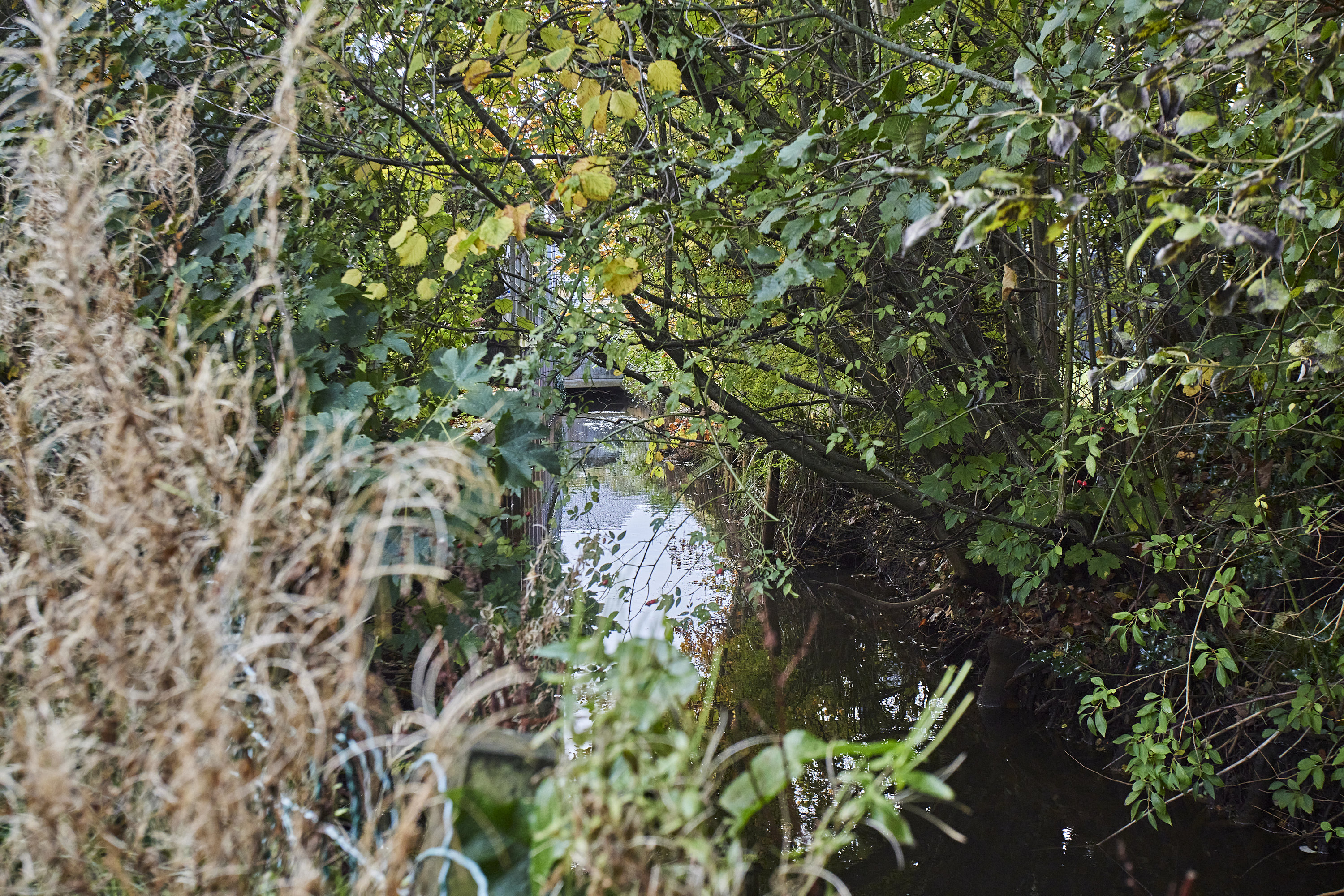 Fremhævet udsigt billede i fuldskærmstilstand. Billede af Ansvej 55, 1., 8600 Silkeborg