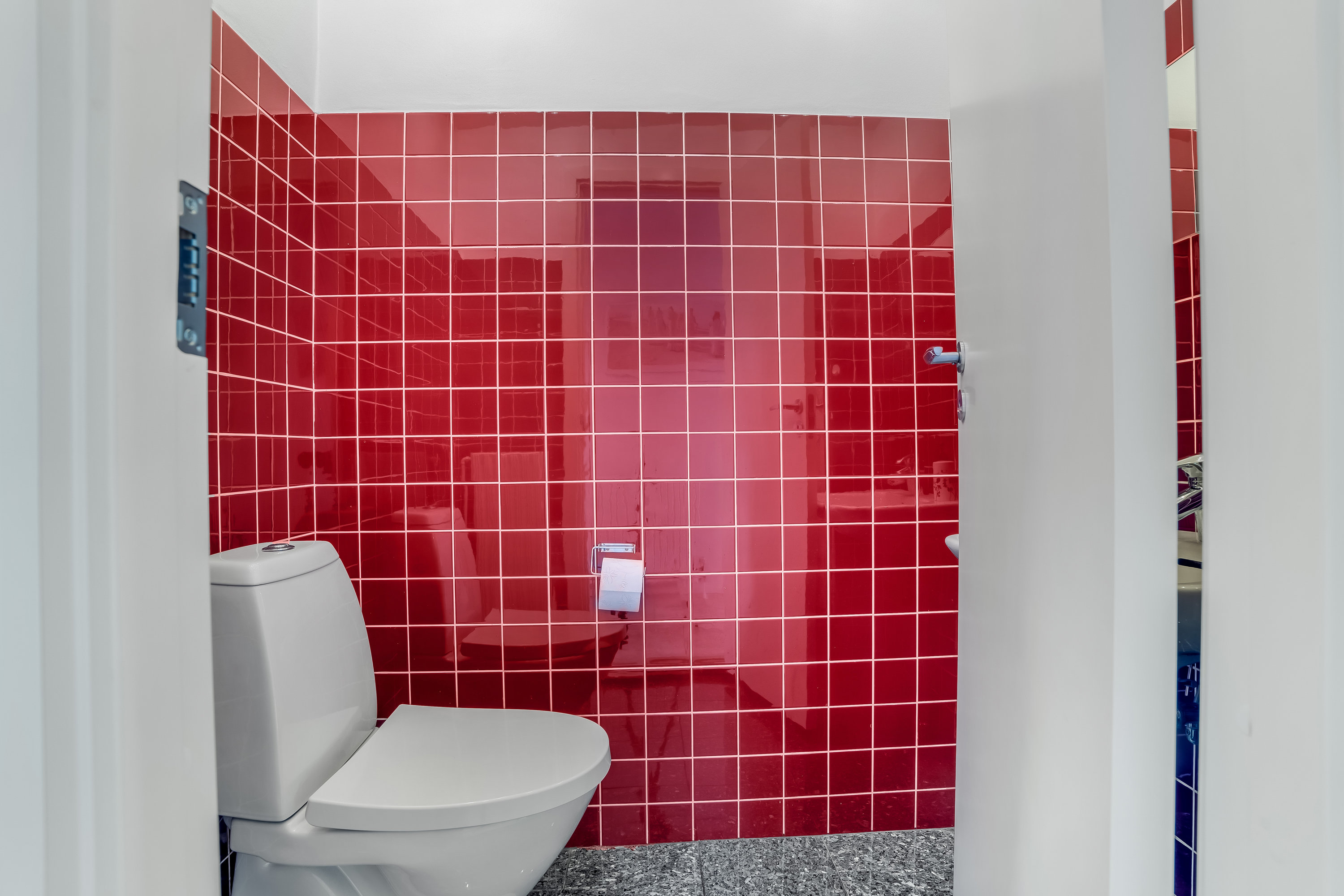 Fremhævet toilet billede i fuldskærmstilstand. Billede af Ålholmparken 54, 3400 Hillerød